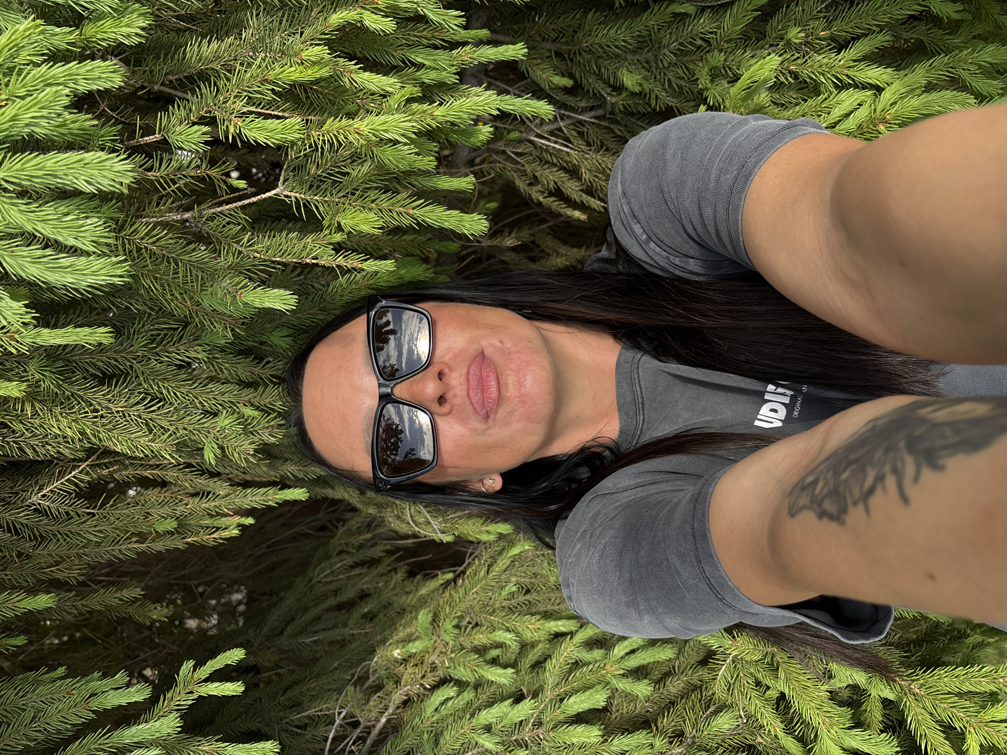 A woman is lying on a bed of evergreen branches. She is wearing sunglasses and a gray shirt and has a tattoo on her right arm. The location is not discernable as Izhevsk, Russia, from the given image.