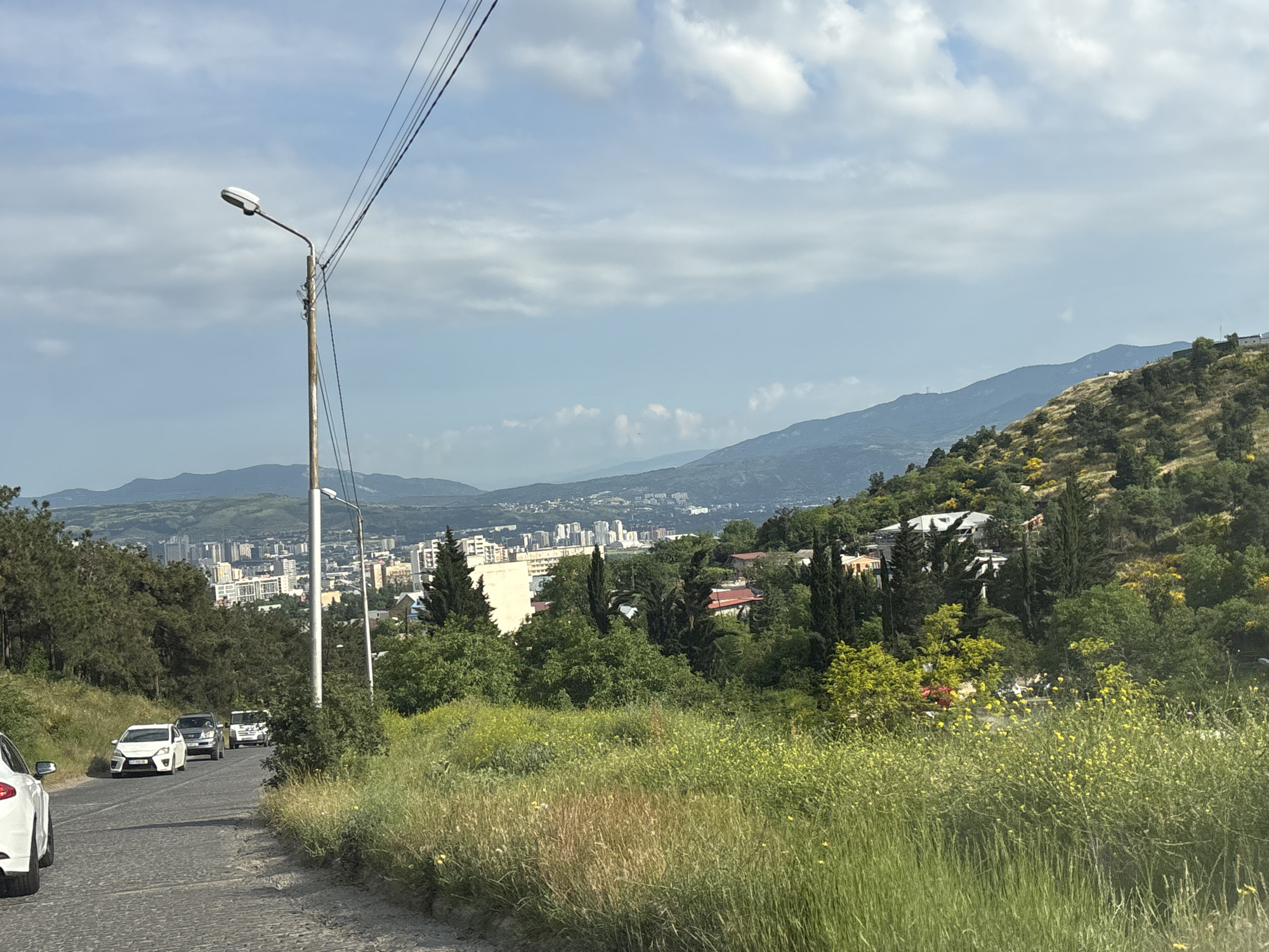 The image depicts a view of the city of Tbilisi, Georgia, from a high vantage point on a hillside. In the foreground, a paved road curves to the left, with several cars parked and driving on it. A white sedan is closest to the viewer on the left side of the road, followed by other vehicles. Lush green grass and yellow wildflowers cover the slopes on either side of the road.
In the mid-ground, a dense cluster of trees, including evergreen cypresses and deciduous trees, is visible. Beyond the trees, the cityscape of Tbilisi unfolds with numerous buildings, including residential areas and some taller structures. The city is nestled in a valley, with rolling hills and mountains forming the backdrop.
The sky above is partly cloudy with patches of blue sky. A tall, wooden utility pole with a streetlamp is prominently positioned on the left side of the road, with several electrical wires extending from it. The overall impression is a scenic overlook of a vibrant urban environment surrounded by natural hilly terrain.