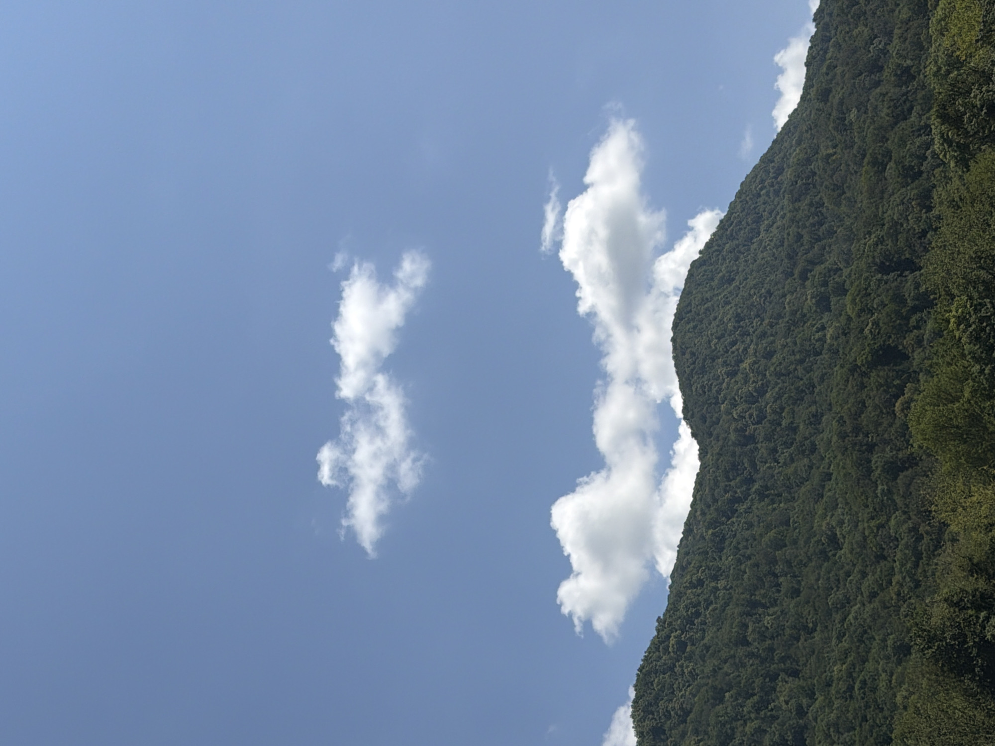 This is a vertical, eye-level shot of a forested mountain under a bright blue sky with scattered white clouds. The mountain occupies the lower half of the frame and is covered in dense, dark green foliage. The sky dominates the upper half and features two distinct groups of cumulus clouds. The lower group of clouds is larger and closer to the mountain's crest, while the upper group is smaller and more distant, appearing as two separate wisps. The scene suggests a clear day, likely during daylight hours, with good visibility. The environment appears natural and undeveloped, with no man-made structures or people visible. The image does not provide specific details that would allow for definitive identification of the location within Adlerskiy, Russia.