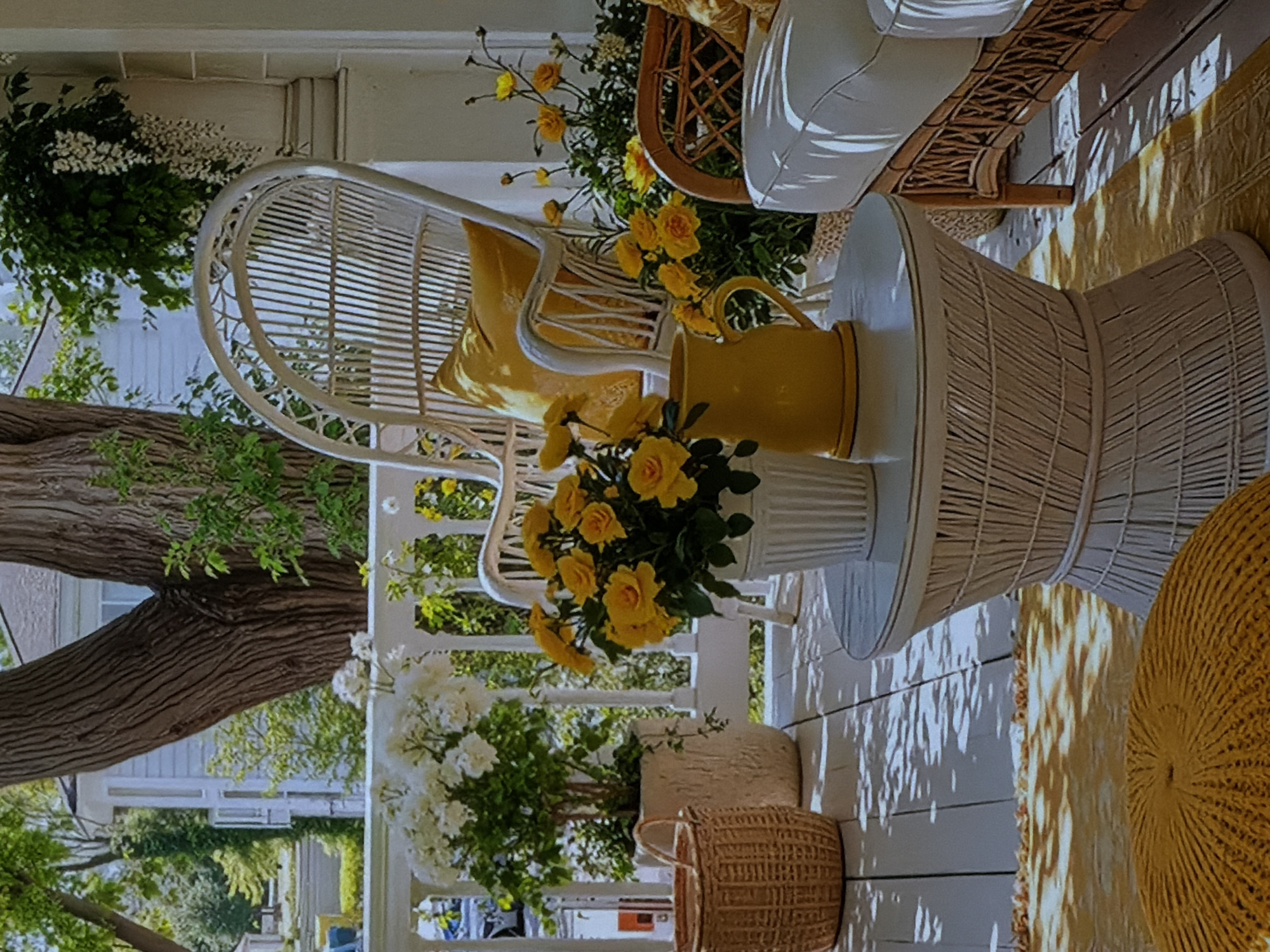 This image captures a brightly lit outdoor porch or veranda, adorned with furniture and plants in a cheerful white and yellow color scheme.
In the foreground, a white wicker armchair with a bright yellow throw pillow offers a welcoming seat. To its right stands a matching round white wicker side table, upon which rests a vivid yellow ceramic pitcher and a white fluted vase overflowing with yellow roses. Partially visible on the far right is a round, textured yellow ottoman or floor cushion.
The porch features white wooden floorboards, dappled with strong, intricate shadows cast by sunlight filtering through leaves and architectural elements, indicating a sunny daytime setting. A textured yellow rug lies beneath the furniture.
Further into the scene, behind the side table, is another piece of wicker furniture, likely a sofa or lounge chair, adorned with white cushions and a patterned throw. Various potted plants are strategically placed, including a large pot of white flowers on the floor near the armchair and a wicker basket beside it. A hanging basket filled with green foliage and small white flowers dangles from above on the left.
The left side of the frame is dominated by the robust, textured trunk of a large tree, with lush green foliage extending beyond. In the background, glimpses of distant houses and more greenery can be seen, framed by white porch railings and structural elements.
The scene exudes a serene and inviting atmosphere, suggesting a comfortable outdoor living space. There is no visible text in the image. The location context for this scene is Sofiivska Borshchahivka, Ukraine.