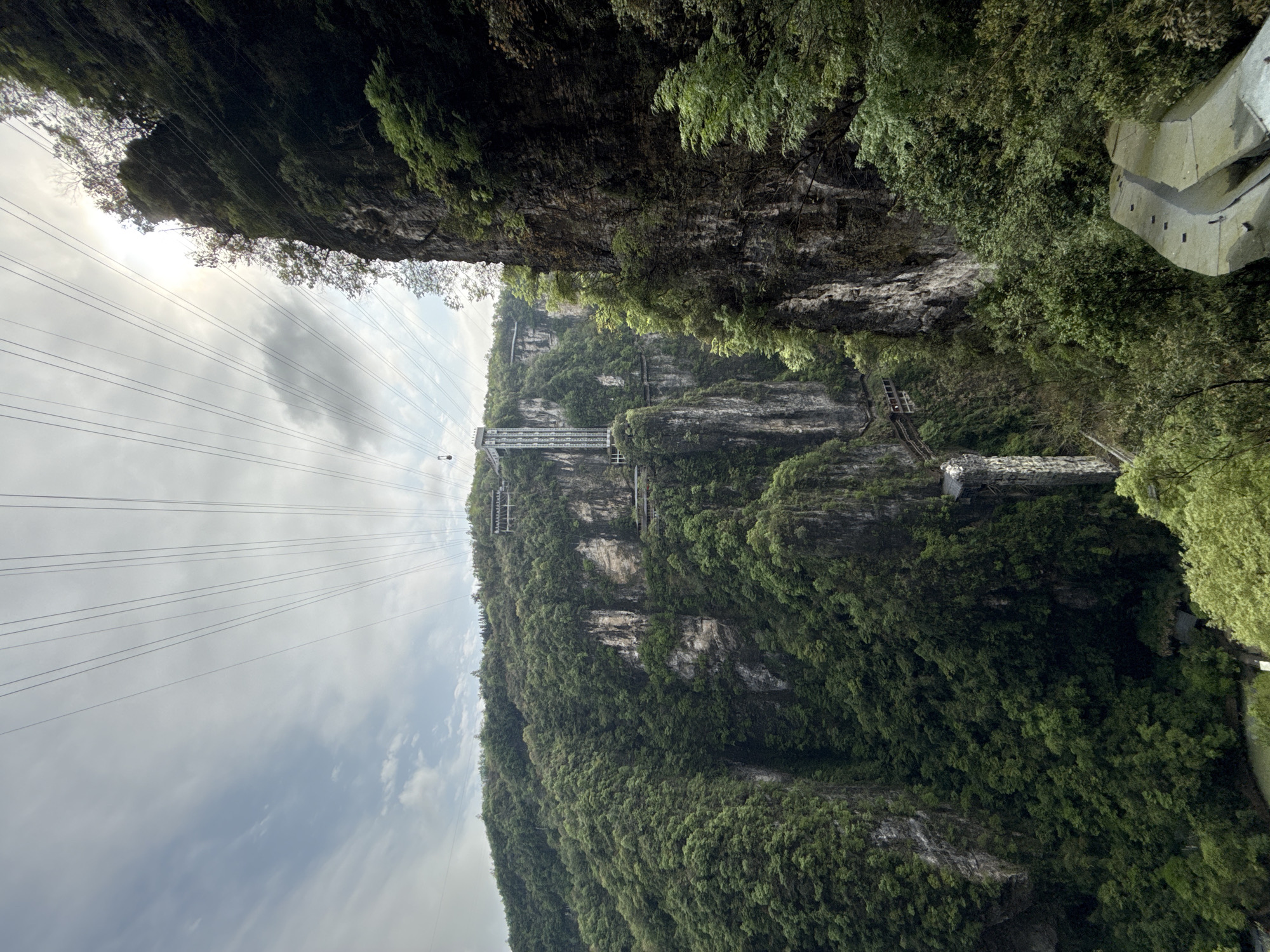 The image depicts a steep, green, mountainous terrain in Zhangjiajie, China. A glass bridge spans a gap between rocky formations. High voltage power lines are visible against the sky. The scene includes dense vegetation covering the rock face. Steps have been carved into the mountainside. A concrete structure is seen in the upper right.