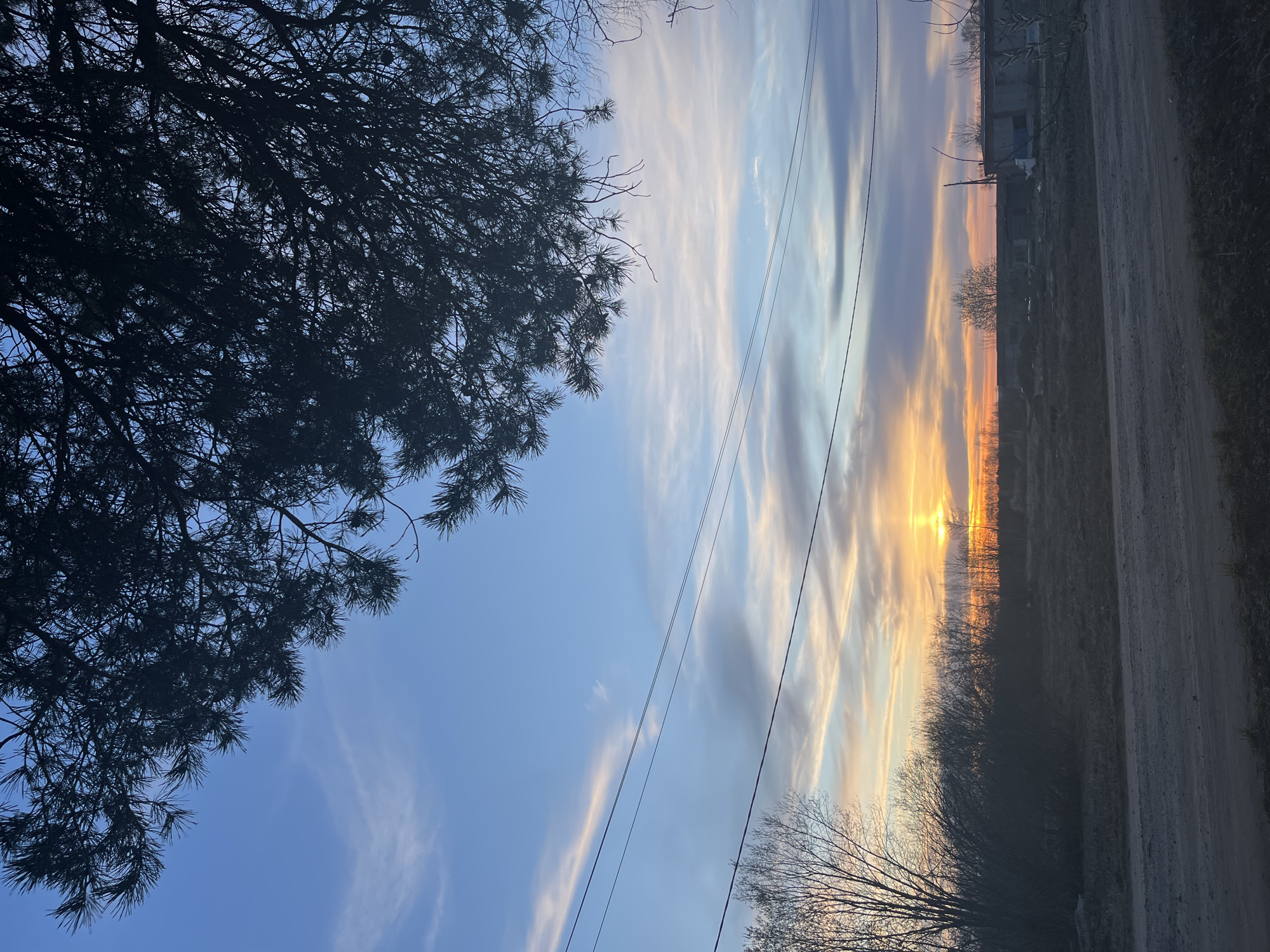 The image captures a sunset scene in Раздолье, Russia. A dirt road runs along the right side, with a sparse, grassy field and bare trees extending towards the horizon. A building is visible in the distance. Power lines stretch across the sky. The sky is a mix of blue and orange hues, with elongated clouds creating a striking sunset effect. A silhouetted tree branch is in the left foreground.