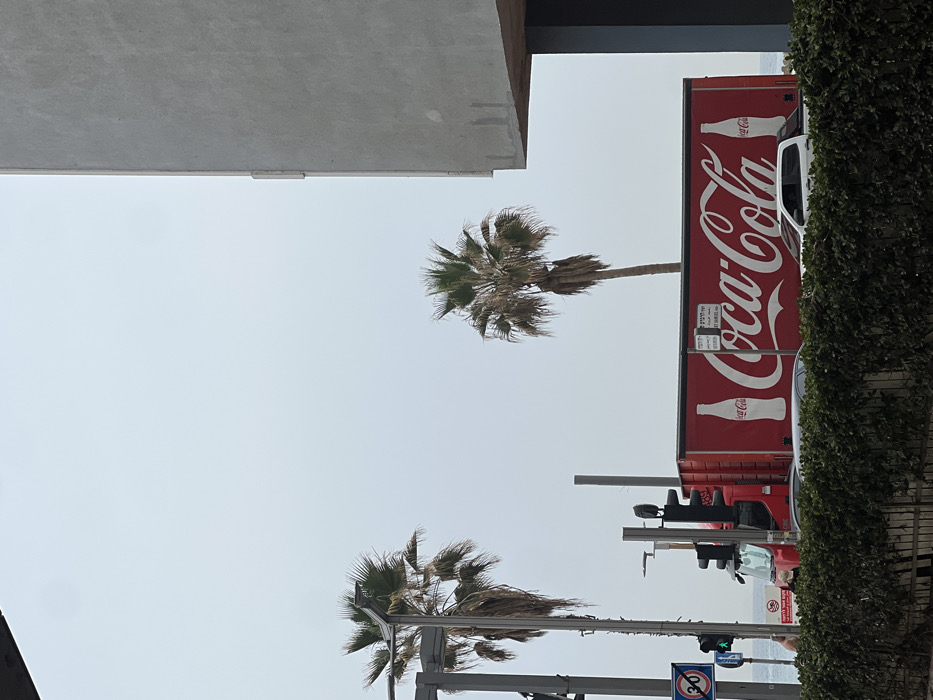 Two palm trees stand against a pale sky, street lights positioned between them. A large Coca-Cola advertisement adorns the side of a truck, partially obscured by dense green foliage. Buildings frame the scene, creating an urban landscape with tropical elements.