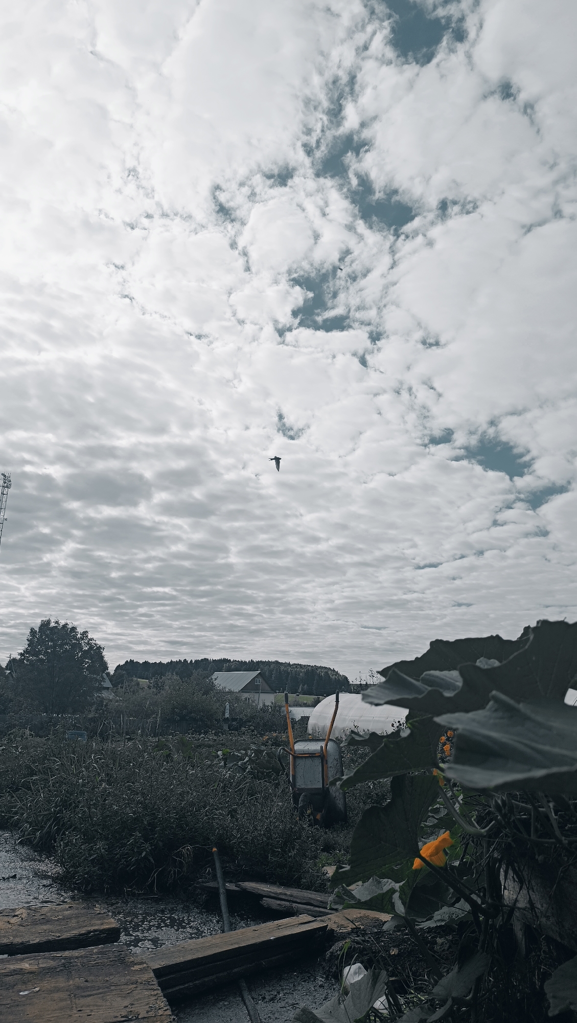 The image depicts a cloudy sky with a bird flying in the upper center. Below the sky is a landscape with a greenhouse, houses, trees, and foliage. In the foreground, there is a wheelbarrow and some wooden planks. The scene appears to be an outdoor area, possibly a garden or farm, in a rural setting. The image does not contain any specific details that would allow for identification of the location within the city of Karsha, Russia.