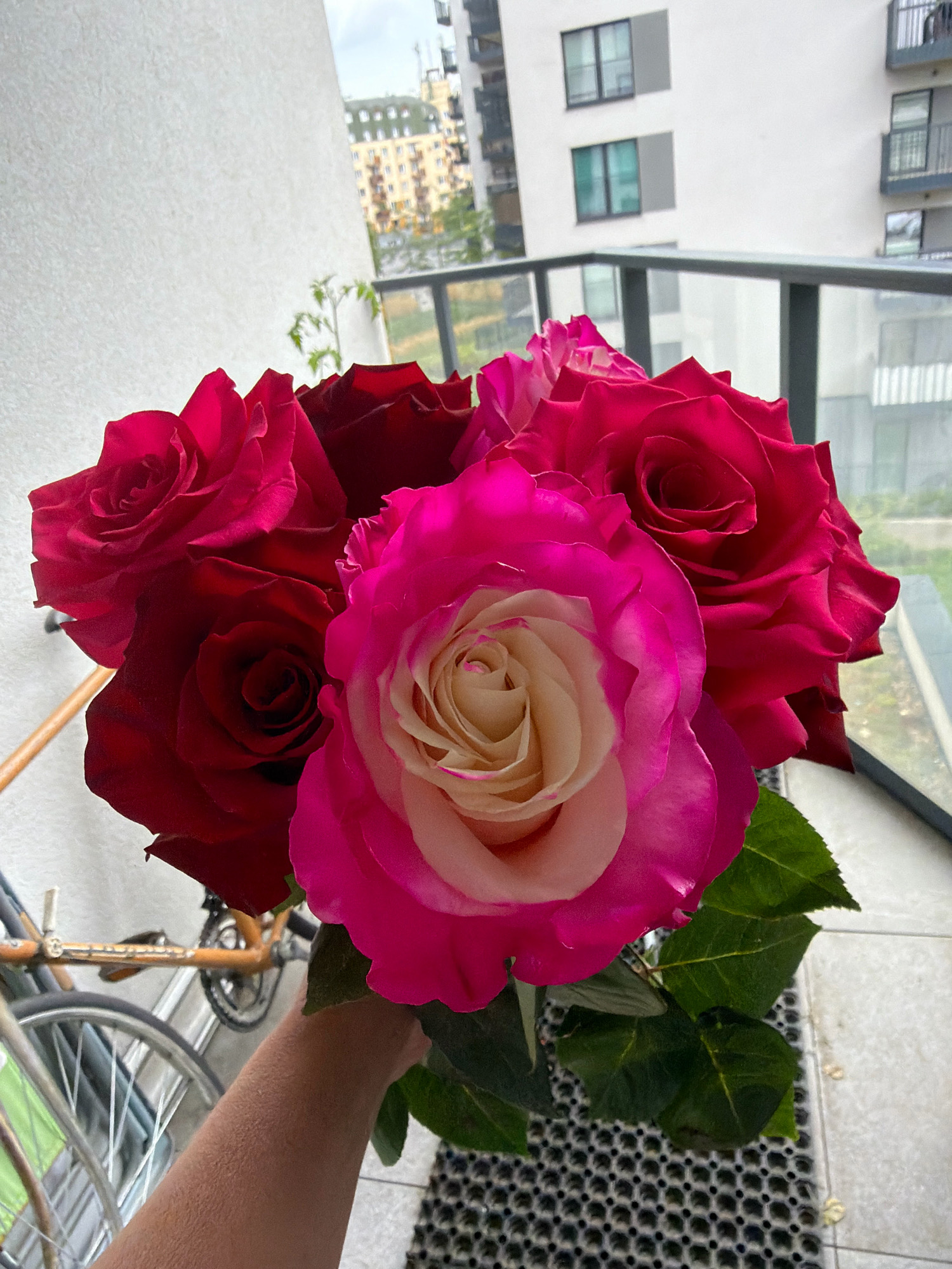 A person's arm, covered in what appears to be dust or powder, holds a bouquet of five roses. Four roses are a deep red, and one is a vibrant pink fading to a creamy white center. The bouquet is in the foreground, obscuring the lower portion of the person's arm and hand. Behind the roses, a bicycle with a partial view of its wheels and frame is visible. The background features a balcony with a glass railing and modern buildings. The scene suggests an urban setting, possibly a residential area in Wrocław, Poland, given the architectural style. The lighting indicates daytime.