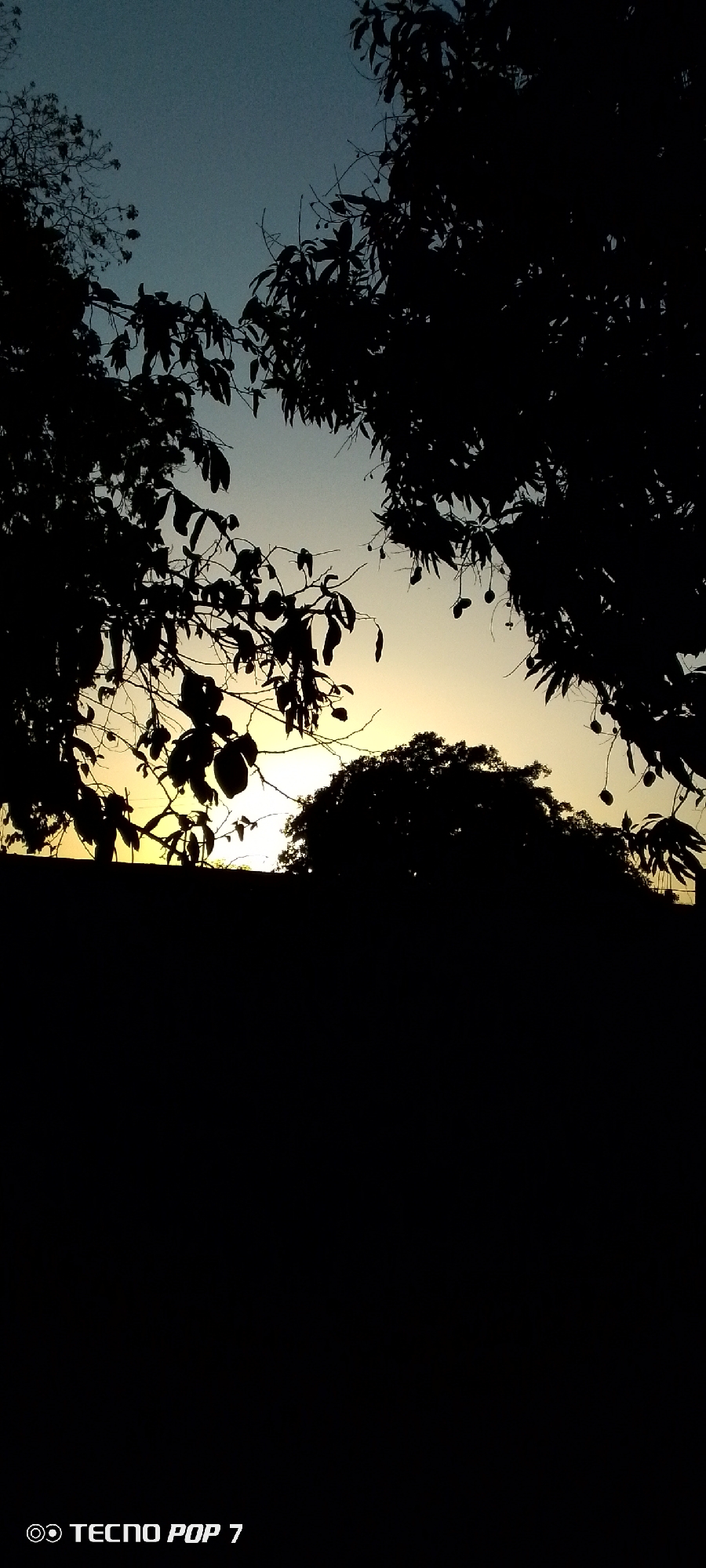The image depicts a twilight scene, with the silhouettes of trees framing a view of the sky. The sky transitions from a dark blue at the top to a yellow-orange glow near the horizon, likely indicating either sunrise or sunset. The foreground is mostly dark, obscuring details of the landscape. The trees, with visible leaves and some hanging fruit, are in sharp silhouette against the sky. The image was captured using a TECNO POP 7 smartphone. The location is given as Altagracia, Venezuela, but no further information identifying any specific location can be seen in the image.
