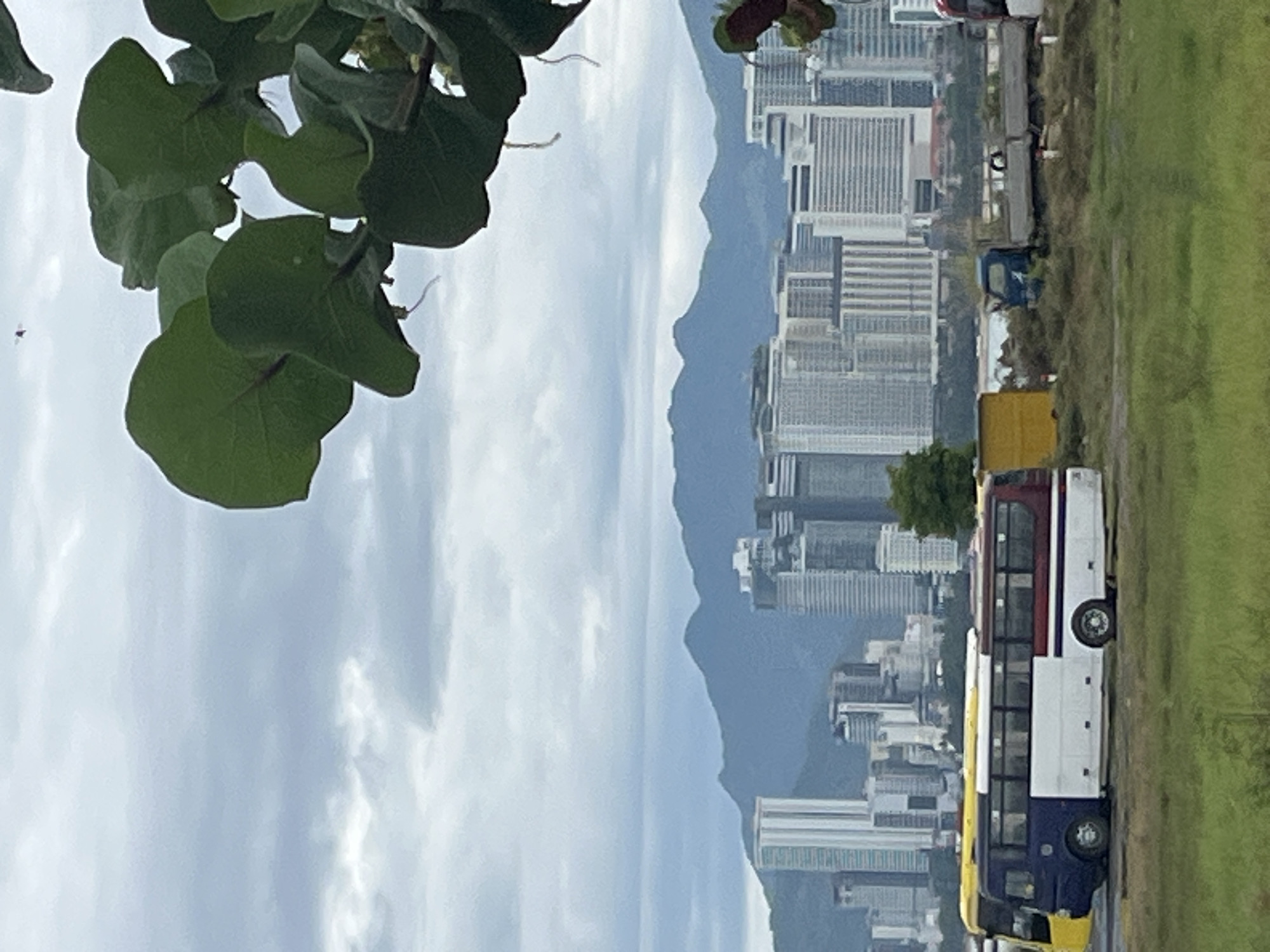 The image shows a view of a city skyline and mountains under a cloudy sky, with tree foliage in the foreground. A bus with yellow, blue, white and red markings is parked on a grassy verge. Other vehicles are parked in the distance. The image is oriented sideways. Based on the description, the location is near Bac Nha Trang Ward, Vietnam.