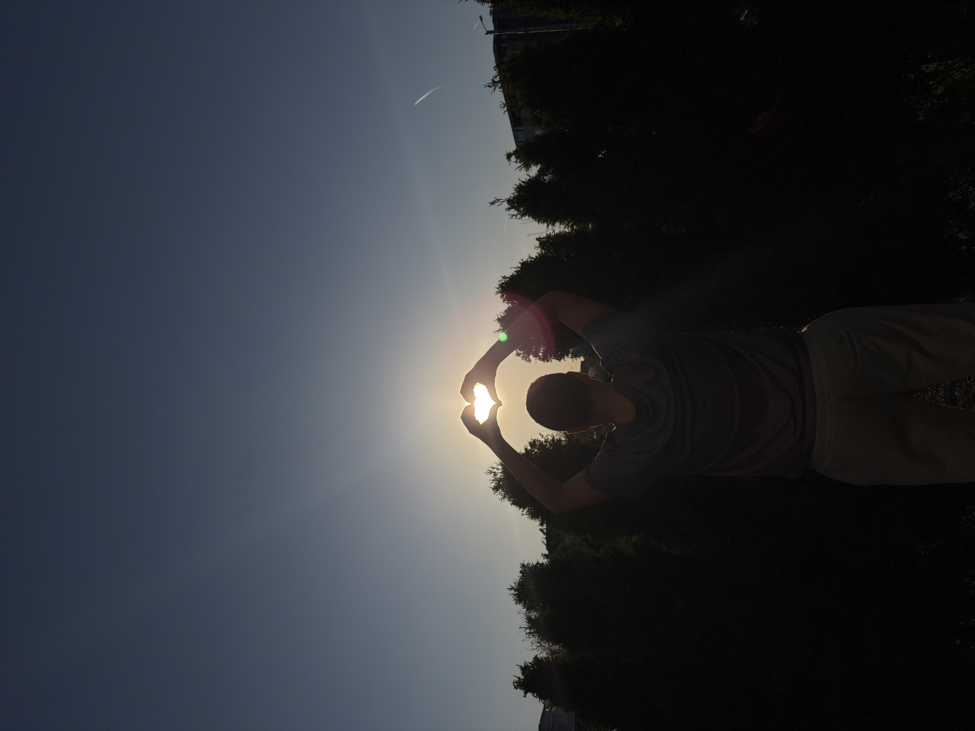 A photograph captures a person silhouetted against a brilliant sun, appearing to hold or frame it with their cupped hands. The individual, a male with short hair, is seen from the waist up, dressed in a t-shirt and trousers. Their arms are raised, and hands positioned centrally, making the bright sun seem nestled within them or forming a heart shape.
The sky transitions from a deep blue on the left to an intense white-yellow radiance emanating from the sun, which is the dominant light source in the image. A distinct lens flare is visible around the sun, and a faint airplane contrail streaks across the upper left sky.
Dark silhouettes of dense trees and bushes line the lower and right portions of the frame, obscuring the ground beneath them. In the distance, faint outlines of urban buildings are visible against the sky, suggesting an area where nature meets city.
The strong backlighting and low angle of the sun indicate either early morning (sunrise) or late afternoon (sunset). The scene is an outdoor setting in Sofia, Bulgaria, likely in a park or a similar green space, bordering an urban area. There is no visible text in the image.