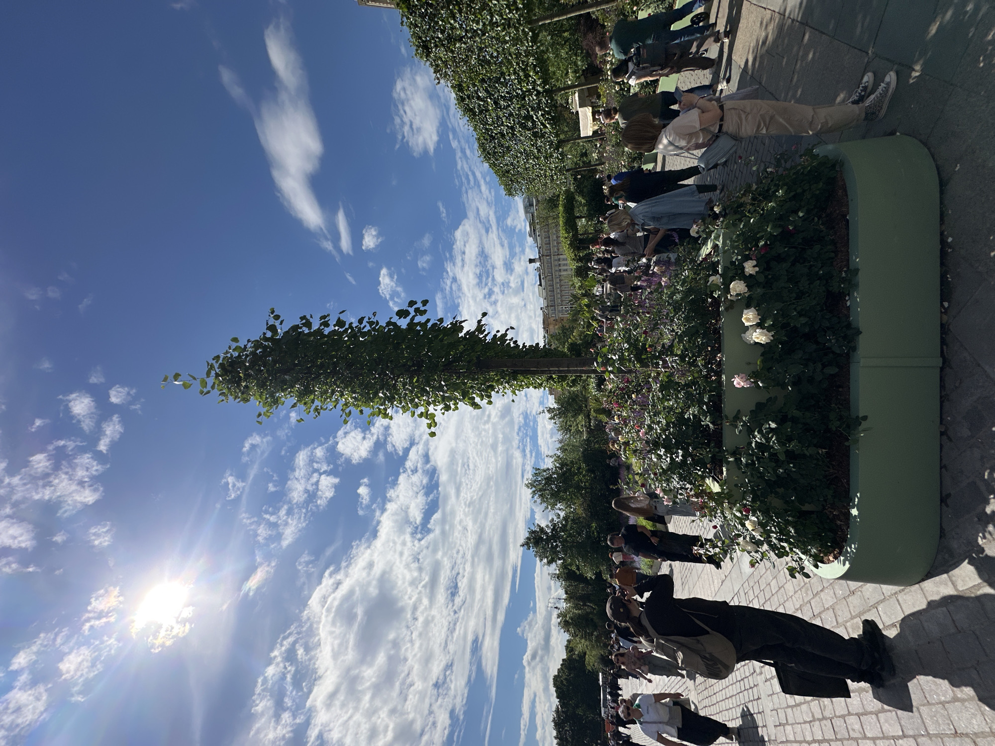 This image depicts a sunny day in a park or public garden, likely in Moscow, Russia, given the context. A tall, slender tree stands centrally in the frame, with a large, green planter box filled with blooming roses in the foreground. The planter is surrounded by cobblestone pathways where numerous people are walking and interacting. The sky is a vibrant blue with scattered white clouds, and the sun is shining brightly, casting shadows. The background shows more trees and buildings, suggesting an urban setting. People are dressed in casual summer attire, some are walking in groups, others are looking at their phones, and a few are posing for photos. The overall atmosphere is one of leisure and outdoor activity.