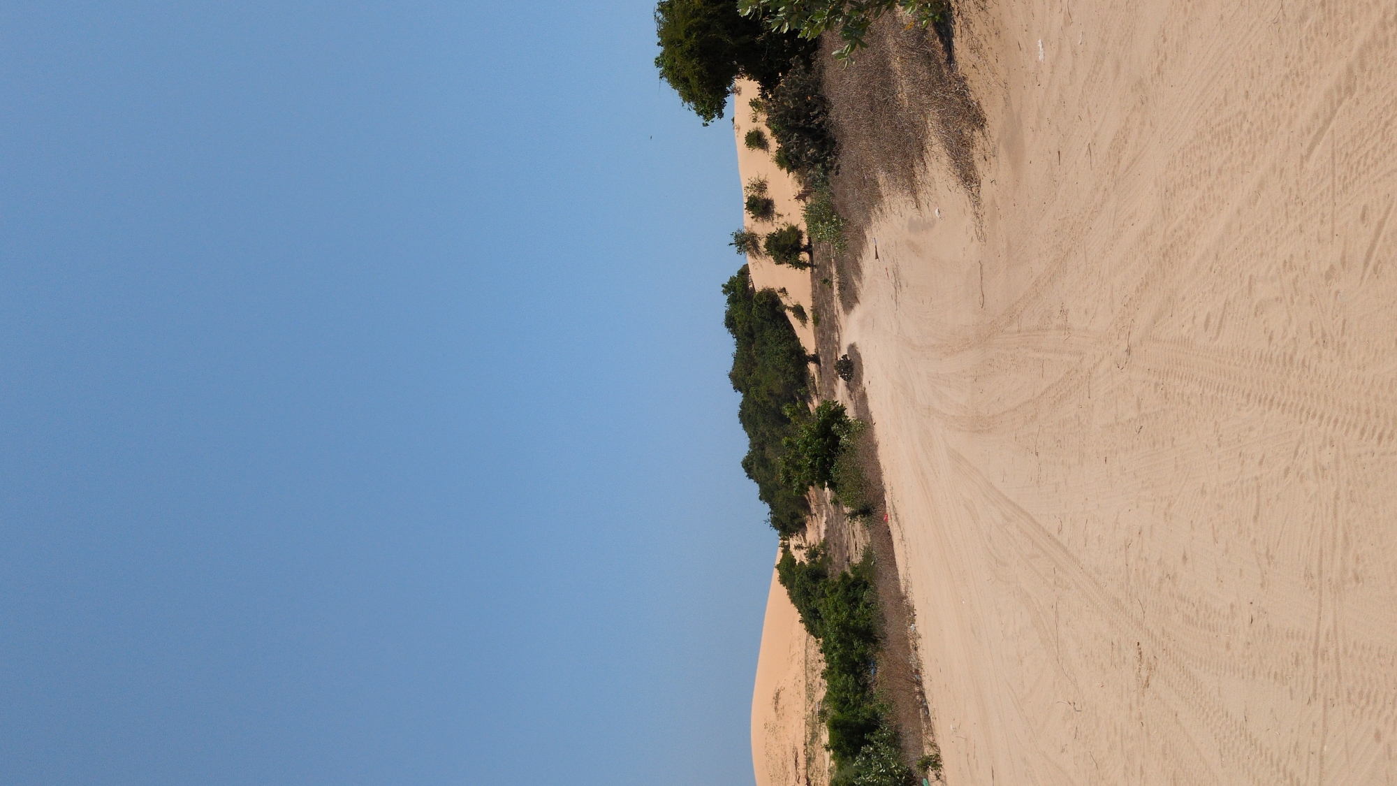 The image depicts a sand dune landscape adjacent to vegetation under a clear blue sky, likely in the vicinity of Phuoc Dinh, Vietnam. Tire tracks and footprints are visible on the sand, suggesting vehicular and pedestrian traffic. The vegetation includes trees and bushes lining the edge of the dune. There are no people visible in the frame.