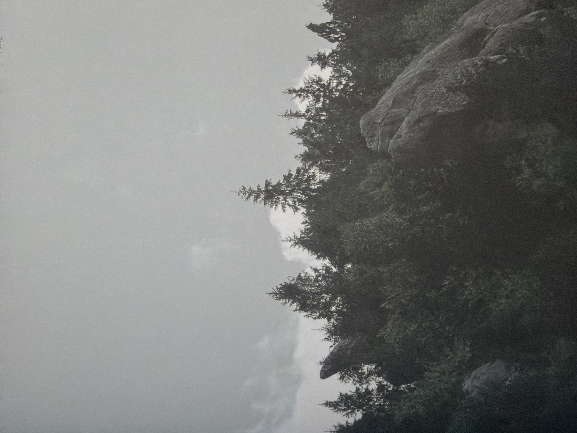 The image is a landscape photograph featuring a dense forest with several prominent rock formations in the foreground and middle ground. Tall, dark green evergreen trees dominate the scene, forming a thick canopy. The sky above is overcast and grey, with visible clouds. One large, grey, weathered rock is positioned on the right side of the image, appearing to jut out from the trees. Another rock formation, more pointed and dark, is visible to the left of the tree line. The overall atmosphere is somber and natural. The location is not specified in the image or provided context.