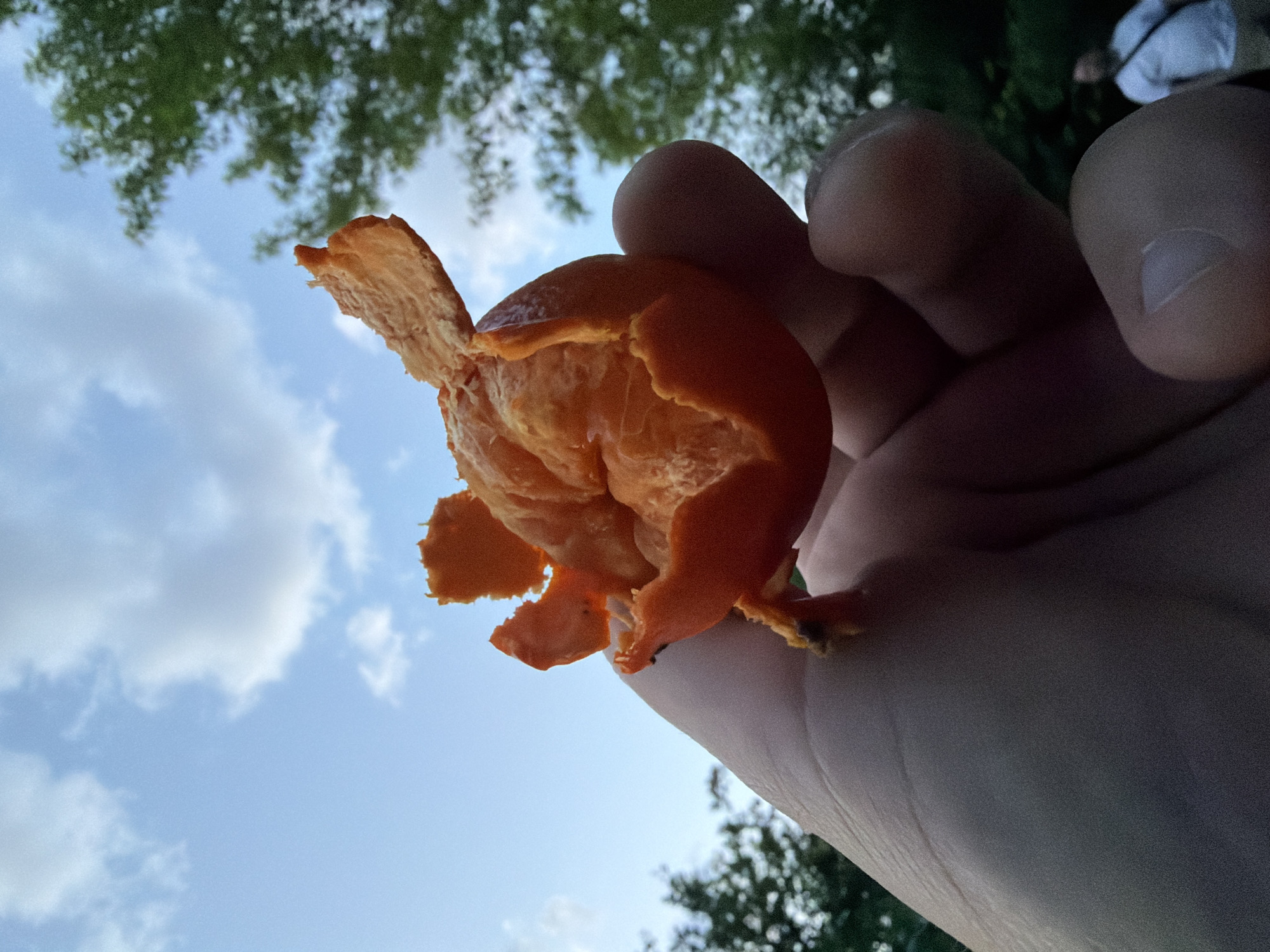 A low-angle, close-up shot depicts a partially peeled mandarin orange being held in a person's hand, set against a backdrop of a blue sky with wispy white clouds and green tree foliage. The orange is bright orange with sections of its peel hanging loosely. The hand holding the orange is pale, with fingers slightly curled around the fruit. The background shows a contrast between the clear sky and the upper portions of trees. The location is not identifiable as Moscow, Russia.
