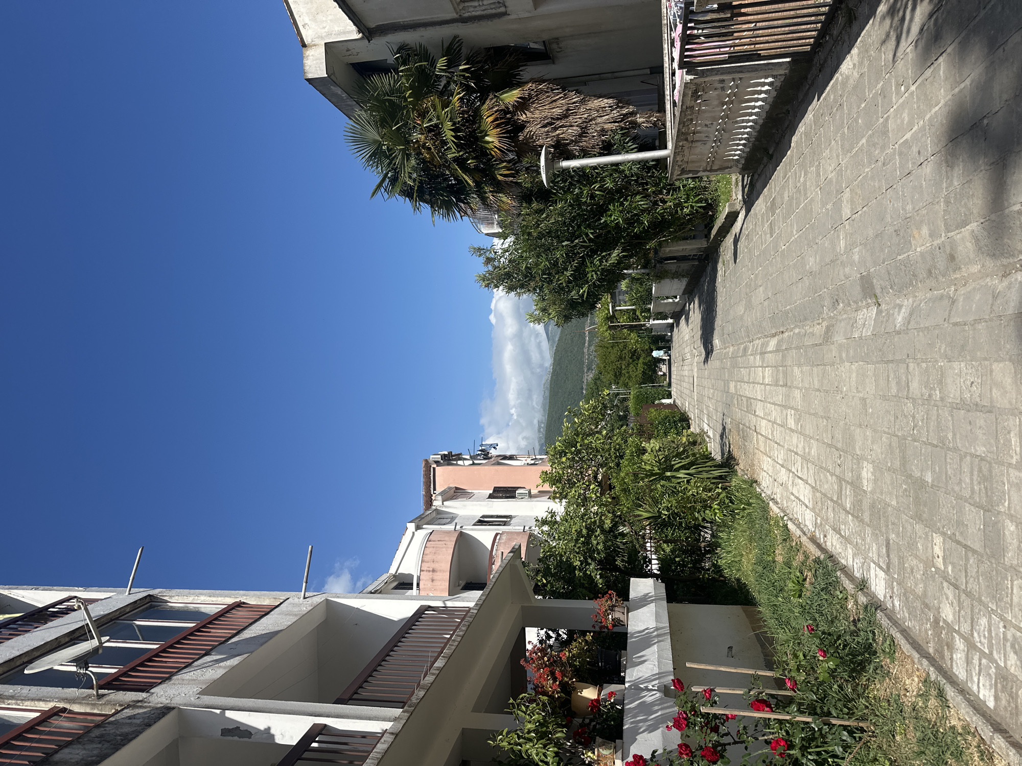 The image depicts a street scene in Budva, Montenegro, characterized by a clear blue sky above. Buildings, some painted in light pink hues and others white, line one side of a stone-paved walkway. A variety of trees and greenery, including a palm tree and flower bushes with red blooms, are visible along the pathway. In the distance, mountains are subtly defined by cloud cover. The architectural details of the buildings suggest a residential area.
