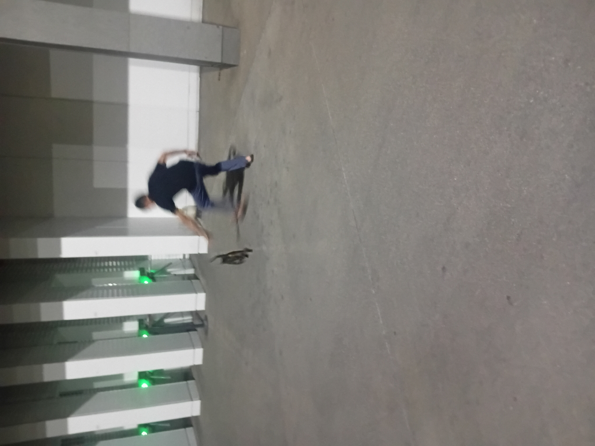 In Onikişubat, Turkey, a person in a dark t-shirt and blue jeans is captured in motion, appearing to be mid-stride or actively engaged in an action. The person is positioned on a grey, concrete surface, possibly a plaza or pathway, with several tall, white structures with illuminated green lights lining the background. To the left of the person, a dark, small animal, possibly a cat, is visible mid-air, suggesting it is either jumping or being thrown. The scene is dimly lit, with the primary light sources appearing to be the green lights in the background and ambient light reflecting off the concrete. The overall impression is one of a dynamic, perhaps playful or eventful, moment.