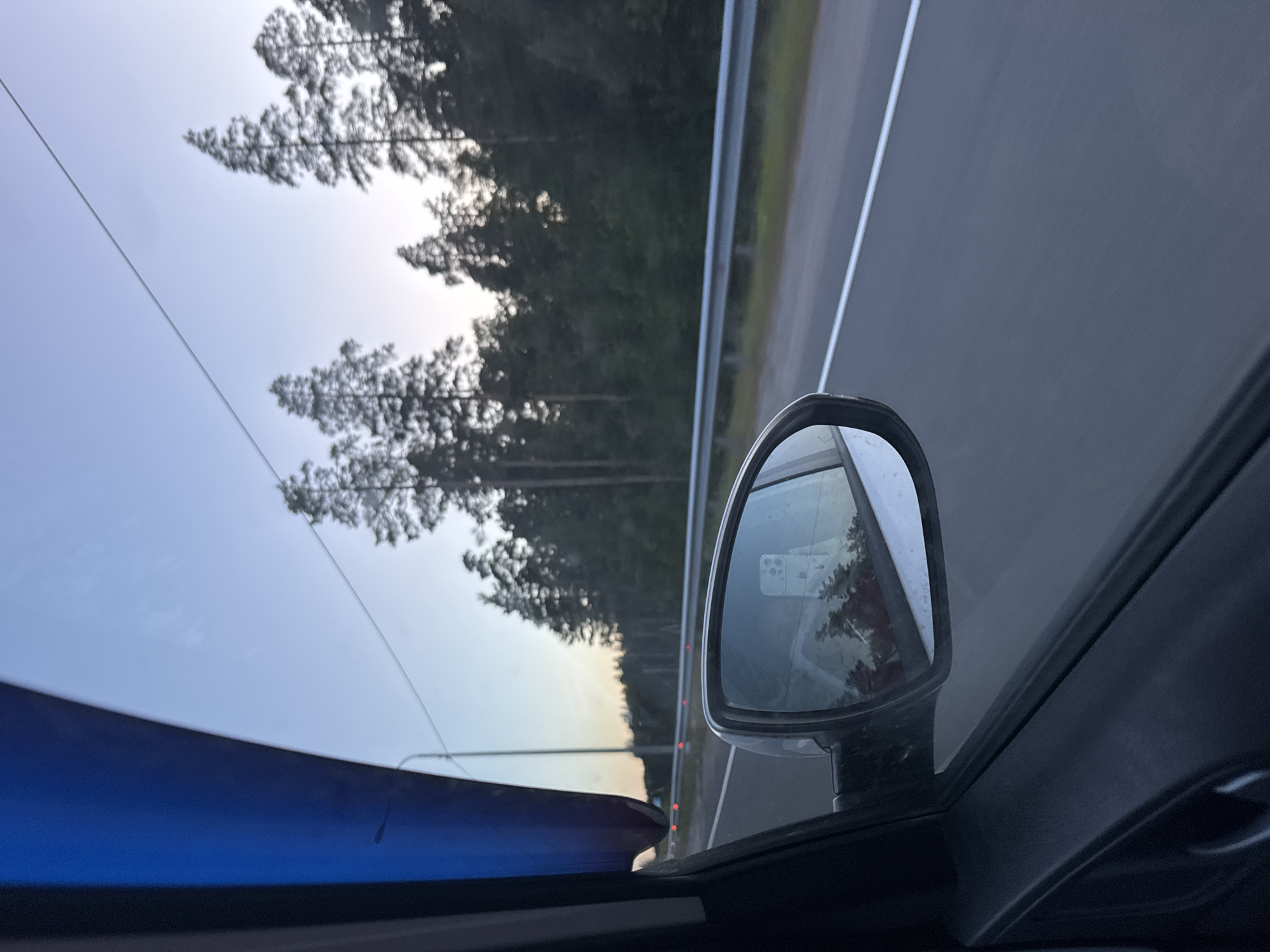The image shows a view from the passenger side window of a car, looking out at a highway and a forest. In the foreground, the car's door panel and a portion of the blue window trim are visible. A side-view mirror reflects a person holding a smartphone. The highway is visible in the middle ground, with a metal guardrail separating it from the trees. The trees are tall and appear to be pine trees, with a dense forest lining the highway. The sky is a clear blue, with the sun setting in the distance, casting a warm glow on the horizon. The scene suggests a scenic drive through a rural area, possibly in the early evening. It is not possible to determine the exact location within Plodovoe, Russia based on the provided image.