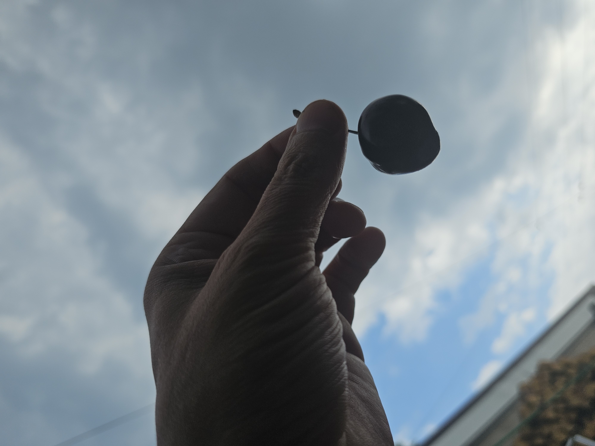 A hand silhouetted against a cloudy sky holds a single cherry. The cherry is dark and appears to be a deep red or black. The hand is positioned in the foreground, with the fingers slightly curled, as if gently presenting the fruit. The background consists of a hazy blue sky with scattered white clouds. The overall impression is one of simplicity and focus on the small, dark cherry. The image does not provide any specific indicators of its location in Odesa, Ukraine.
