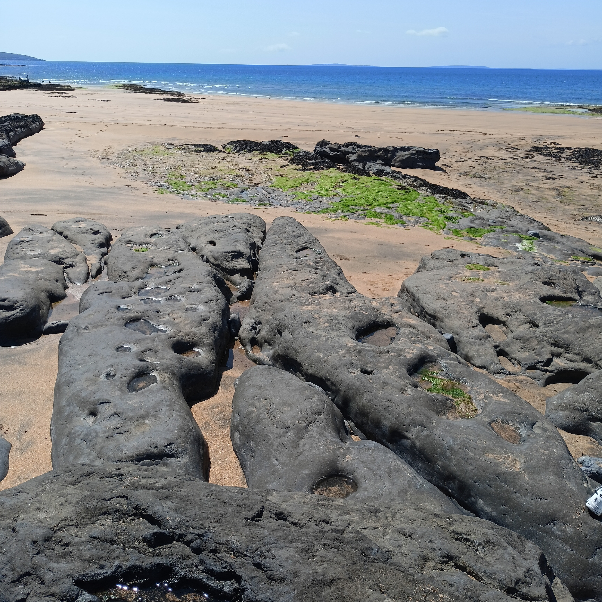 The image depicts a coastal scene at Fanore, Ireland, characterized by a sandy beach, dark volcanic rocks with pools of water, and the Atlantic Ocean under a clear blue sky. In the foreground, large, dark, eroded rocks are scattered across the wet sand, some featuring indentations filled with water. Further back, the sandy beach stretches towards the ocean, with patches of green seaweed visible near the waterline. Several people are faintly visible in the distance, appearing as small figures on the beach near the rocky outcrops. The ocean is a deep blue, with small waves reaching the shore. The overall impression is a natural, rugged coastal landscape.