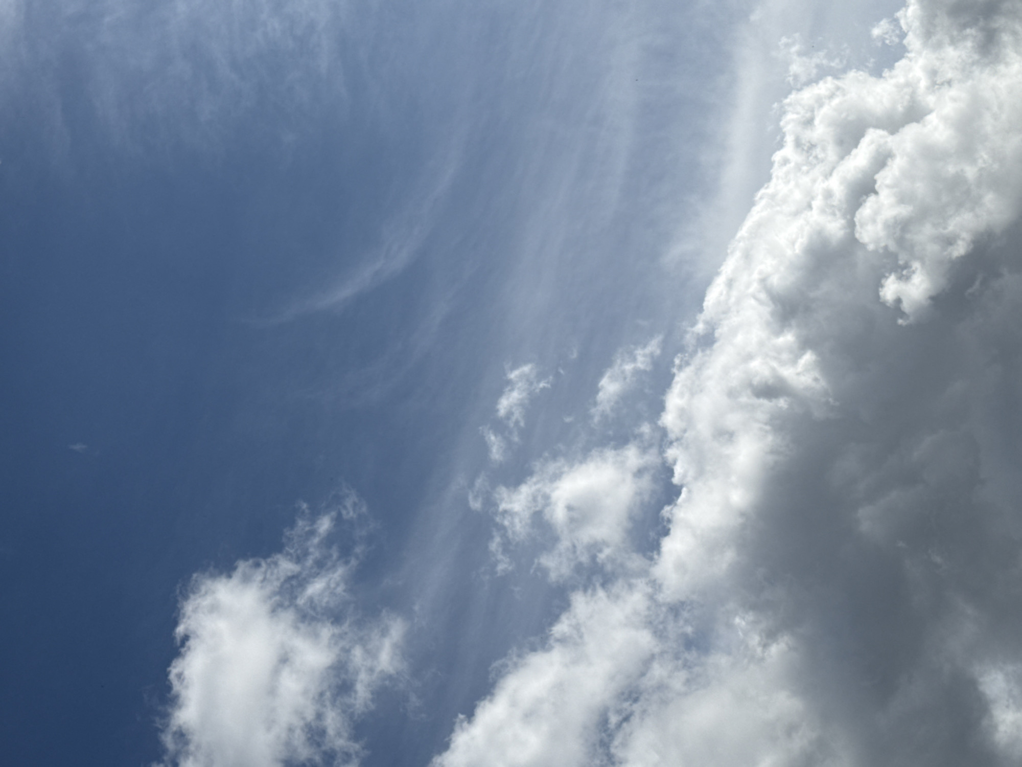 The image shows a bright blue sky filled with various types of clouds. In the foreground, large, fluffy white cumulus clouds dominate the bottom half of the frame, with some darker, gray areas indicating their depth. Higher up, wispy cirrus clouds streak across the sky, creating a sense of movement and texture. The lighting suggests it is daytime, with the sun illuminating the clouds from above and behind, casting shadows that give them dimension. There are no people, buildings, or any discernible landmarks in the image, making it a naturalistic depiction of the sky. The location in Pargolovo, Russia, is not visually indicated by any specific features in the photograph.