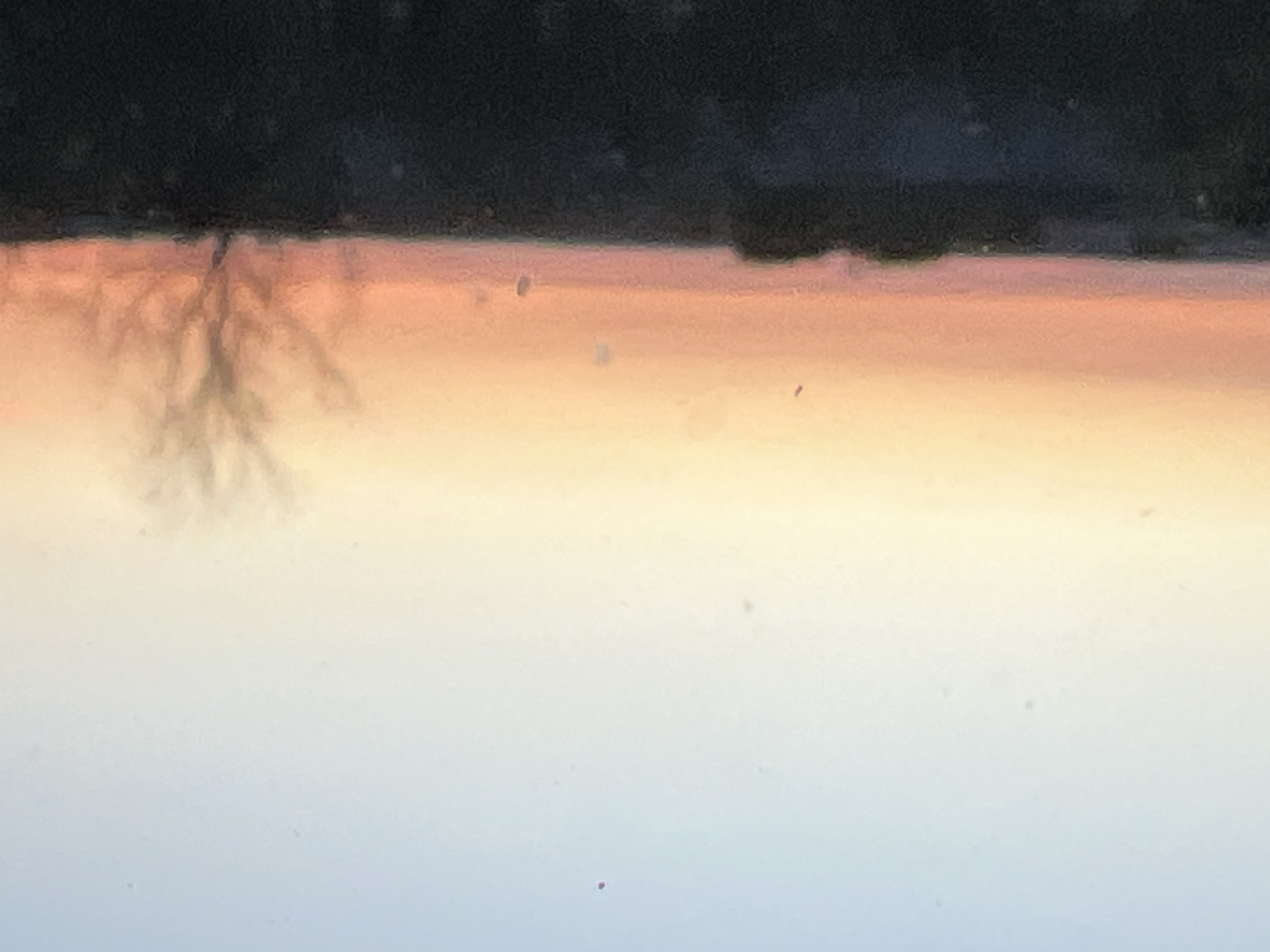 The image shows a view of the sky during sunset, with the upper part of the frame dominated by a dark, almost black, mass that likely represents a treeline or distant buildings. A distinct horizontal band of orange and yellow light separates the dark upper portion from the lighter, pale blue lower part of the frame, which is gradually transitioning into the sky. A blurred, indistinct silhouette of a tree or some other branching structure appears on the left side, against the orange sky. The overall scene evokes a sense of peaceful, natural setting, most likely near or at the edge of the city of Votkinsk, Russia.