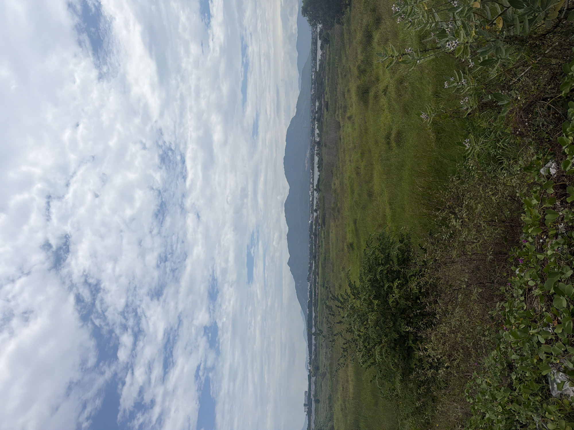 This landscape photograph captures a panoramic view of a rural or semi-rural area, likely in Bac Cam Ranh Ward, Vietnam. The upper portion of the image is dominated by an expansive sky filled with numerous white and light grey clouds, with segments of clear blue sky visible between them, suggesting a partly cloudy day.
A prominent range of mountains stretches horizontally across the mid-ground, appearing hazy and muted blue-grey due to distance. At the base of these mountains, a flat plain unfolds, traversed by several narrow bodies of water, possibly rivers or canals, which reflect the sky faintly. Along these waterways, scattered structures or small settlements can be seen, indicating human habitation within the landscape.
The foreground is rich with diverse green vegetation. On the right side, a wide expanse of tall, uncultivated grass fills a significant portion of the frame. Towards the left and bottom, dense clusters of bushes and shrubs are visible, some bearing delicate small white or light purple flowers. The varying shades of green, from vibrant to deep, indicate a mix of plant life.
The lighting is soft and diffused, characteristic of an overcast day or perhaps early morning or late afternoon. The scene is devoid of people or specific activities, presenting a tranquil and expansive natural vista. There is no visible text in the image.
