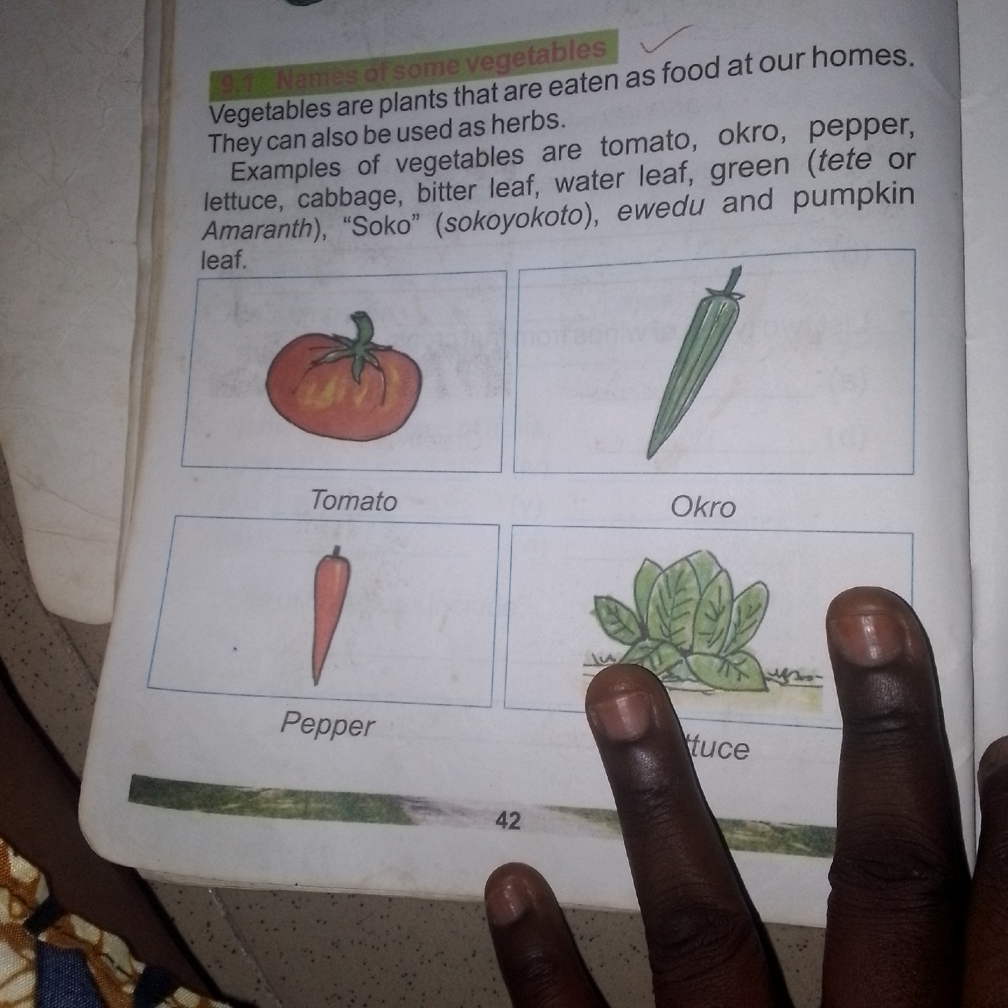 The image shows a page from a book with the title "Names of some vegetables" at the top. Below the title, there is a paragraph describing vegetables. The page is divided into four sections, each containing a drawing of a vegetable and its name. The top left section has a drawing of a tomato with the word "Tomato" below it. The top right section has a drawing of an okra with the word "Okro" below it. The bottom left section has a drawing of a pepper with the word "Pepper" below it. The bottom right section has a drawing of leafy greens, possibly lettuce, with the word "tuce" visible, suggesting it is "Lettuce". The page also has a page number "42" at the bottom. Two fingers are visible in the lower right corner of the image, obscuring parts of the bottom right section and the page number. The background appears to be a textured surface, possibly a table or a book cover. There is no information about the location of this image in any city.
