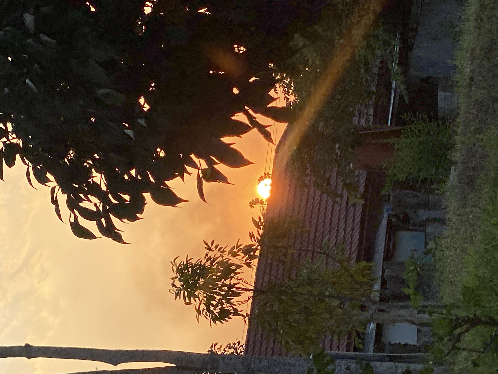 The image captures a sunset over a residential area in Banjarbaru, Indonesia. The sun, a bright orb, is partially obscured by foliage and the roof of a building, casting a warm, golden light across the sky. Silhouetted trees frame the scene, with one prominent tree on the right with dark leaves and branches creating a stark contrast against the illuminated sky. A building with a red tile roof is visible in the middle ground, with overgrown vegetation in the foreground. The overall atmosphere is tranquil, with the fading light of the sun creating a serene and picturesque view of the Indonesian landscape.