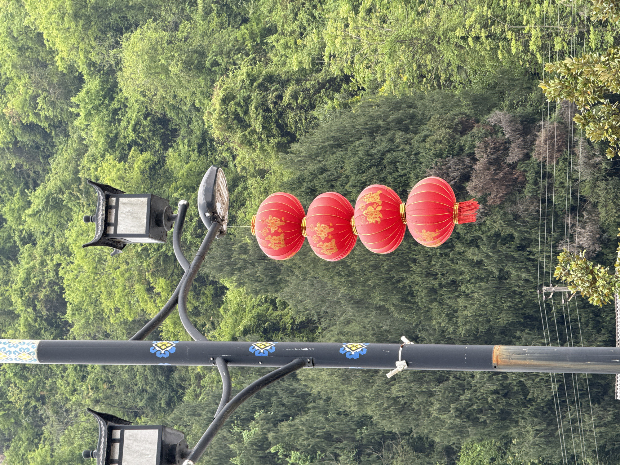 This image captures a decorative street light pole set against a backdrop of dense, green foliage. The pole, dark gray or black, features a horizontal crossbar from which four vibrant red Chinese lanterns are suspended. Each lantern is adorned with intricate golden patterns and the Chinese character "福" (fú), symbolizing good fortune or blessing.
The main vertical section of the pole displays decorative motifs, including a blue and white swirling pattern at the top and distinct blue and yellow square designs further down. Two traditional-style street lamps, characterized by their dark frames and light-colored panes, are attached to the pole, one visible at the top left and another at the bottom left.
The background is dominated by a lush, heavily forested mountain or hillside, indicating a natural and verdant environment. To the right, several thin, vertical lines, likely power lines, are visible, along with some green tree branches in the upper right corner. The lighting suggests it is daytime, possibly with overcast conditions, as there are no distinct shadows. The scene evokes a sense of traditional Chinese culture and festivity integrated into a scenic natural setting, aligning with the Wulingyuan, China location context.