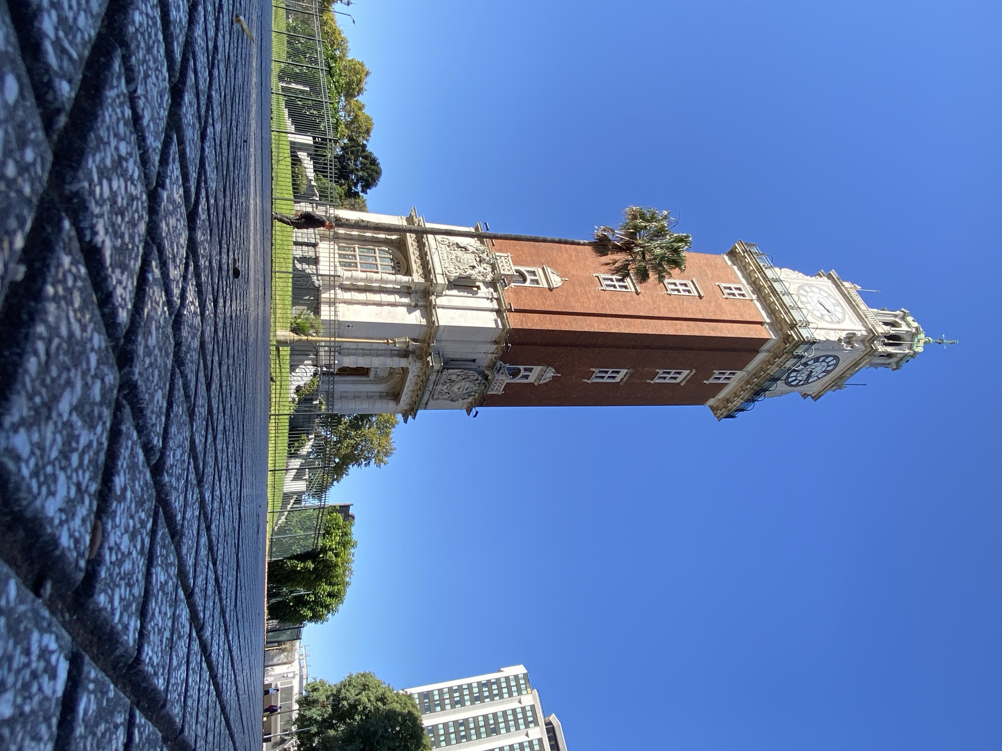 The image displays a prominent, ornate clock tower under a clear, bright blue sky in Buenos Aires, Argentina. The tower features a multi-story structure with a main body of red brick and decorative elements of white stone, including window surrounds and detailed carvings, such as a coat of arms. Multiple clock faces are visible near its apex, which culminates in a green, domed spire topped with a cross or finial. A palm-like tree grows from one of the tower's upper ledges.
In the foreground, to the left, a dark, textured pavement with a repeating diamond or square pattern covers a significant portion of the frame. A dark metal fence separates this paved area from a green, grassy expanse dotted with trees, visible behind the fence. A solitary person, dressed in dark attire, is faintly visible near the base of the tower, behind the fence. In the lower right, a modern, multi-story building with numerous windows can be seen in the background.
The scene is well-lit by natural sunlight, suggesting a clear and sunny day, likely mid-morning or afternoon. The overall atmosphere is calm and static. There is no visible text in the image.