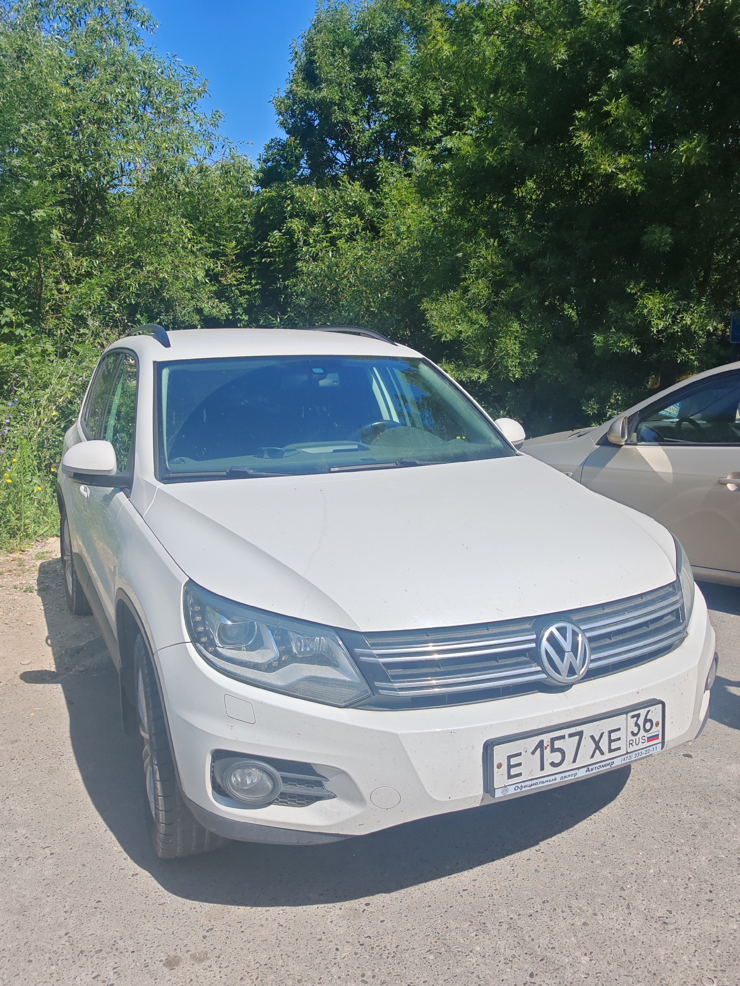 A white Volkswagen Tiguan is parked on a dirt and asphalt surface, with trees and a bright blue sky in the background. The car's front license plate reads "E 157 XE 36 RUS". A second car, a light-colored sedan, is parked to the right of the Tiguan, partially obscuring it. The environment appears to be an outdoor setting, possibly a parking lot or roadside in Varvarovka, Russia, indicated by the license plate's regional code (36). No people are visible in the frame.