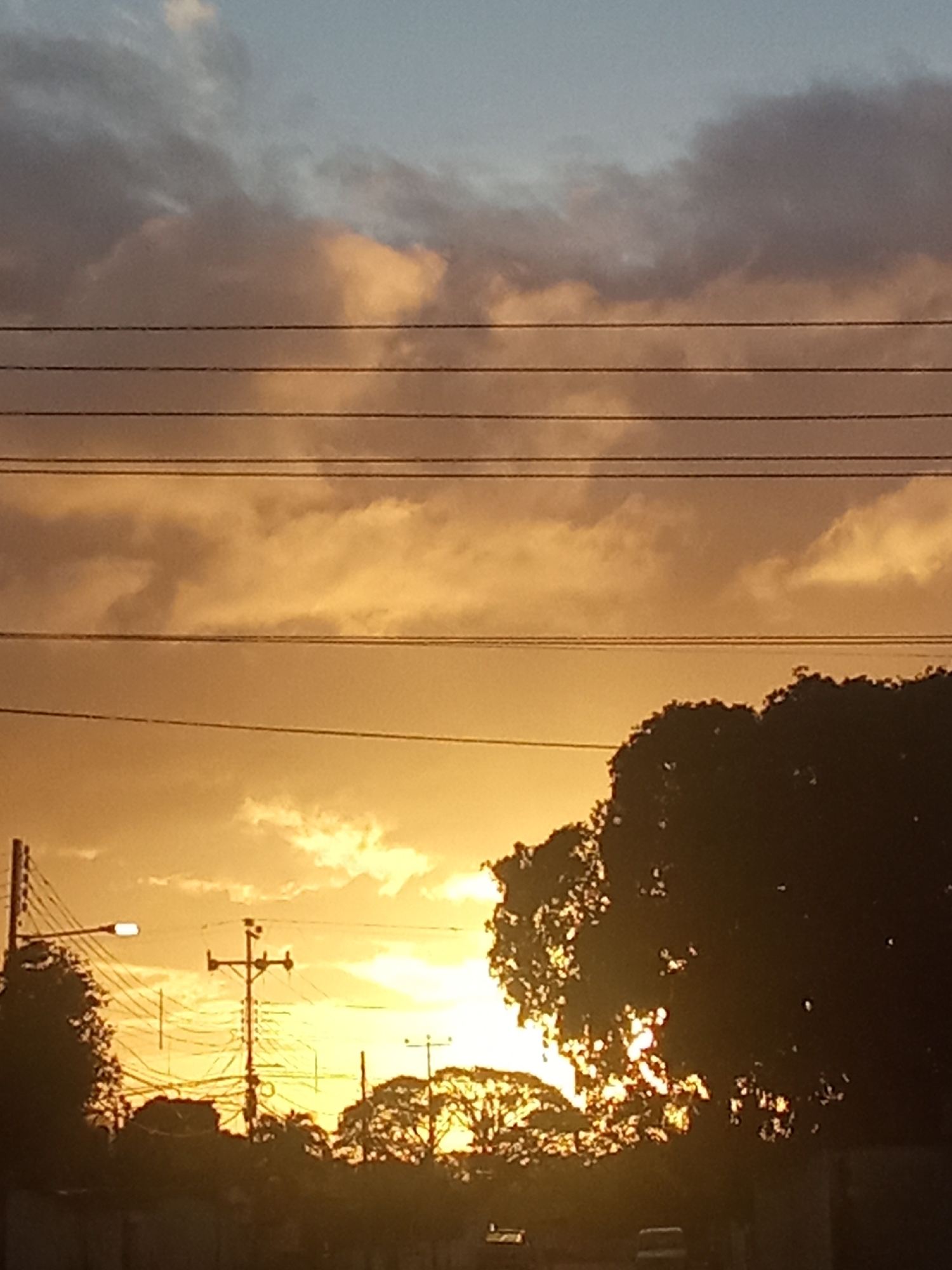 The image is a low-angle shot of a sunset, likely in Juan Griego, Venezuela, based on the presence of overhead power lines and vegetation typical of tropical locations. The sky is filled with clouds in varying shades of gray and orange, illuminated by the setting sun. Silhouetted against the bright sky are trees, utility poles, and power lines. The lower portion of the image shows a street scene with possibly a few vehicles present as suggested by the presence of headlights and structures. The sun's position suggests that it is setting, casting long shadows and creating a warm glow.