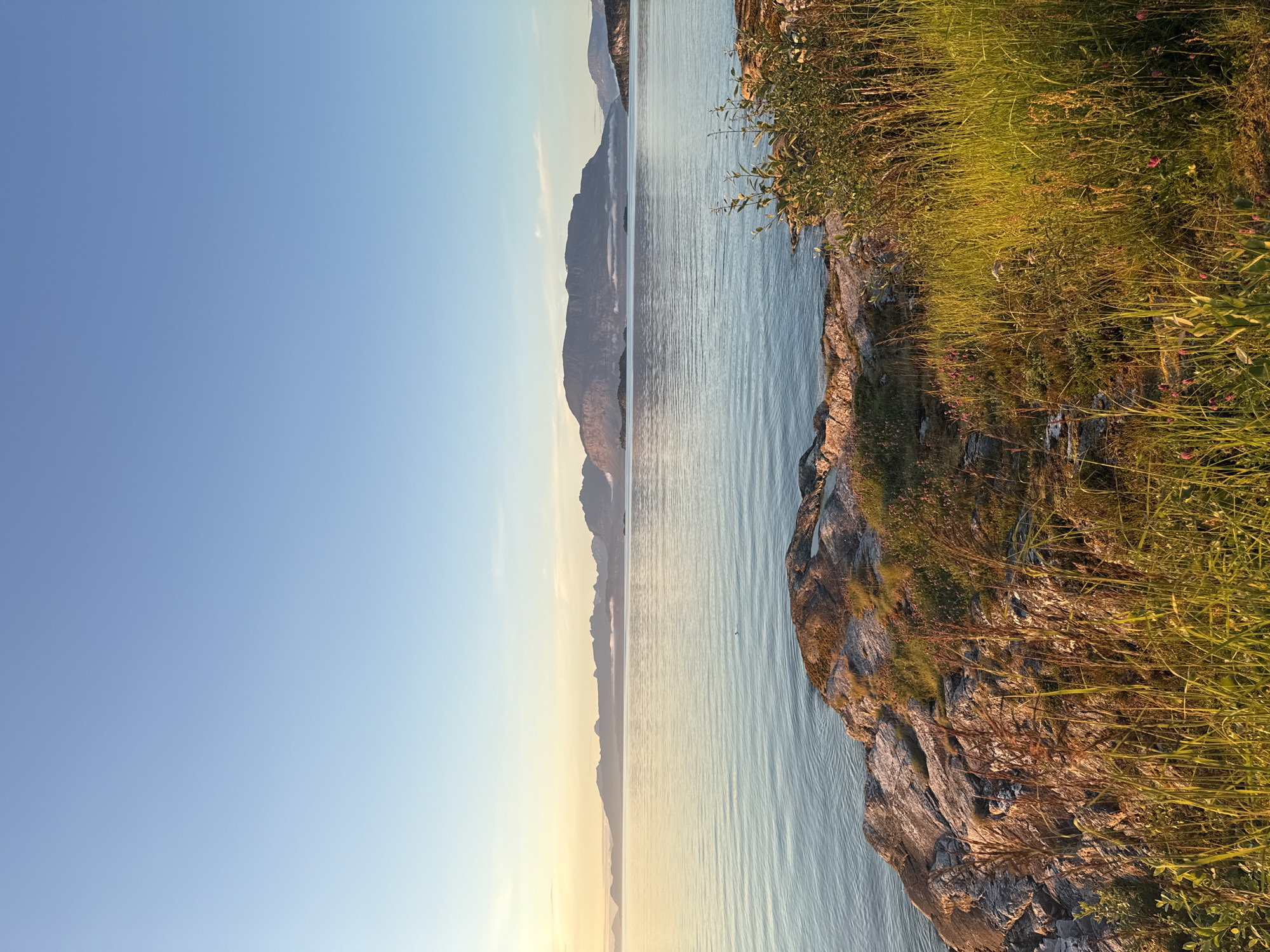 This is a vertical, eye-level, medium shot of a coastal landscape at sunset. The sky is a clear, gradient of pale yellow at the horizon to a soft blue at the top of the frame. The sun is low, casting a warm glow across the scene. In the foreground, on the right, there is tall, golden grass with a few small pink wildflowers scattered among it. To the left and slightly further back, there are rocky outcrops covered in sparse green vegetation and dry grasses.
Beyond the foreground, a calm body of water, likely a fjord or sea, stretches towards a distant mountain range. The water is a pale blue-gray with gentle ripples reflecting the soft light. In the middle distance, the mountains appear as dark, silhouetted shapes against the horizon, with some wisps of cloud clinging to their peaks. The main mountain in the center is broad and flat-topped, with a series of smaller peaks extending to either side. The scene appears serene and natural, evoking a sense of peace and tranquility. The location is likely along the coast of Harstad, Norway, given the characteristic fjord landscape and mountainous terrain. There are no people or animals visible in the image.