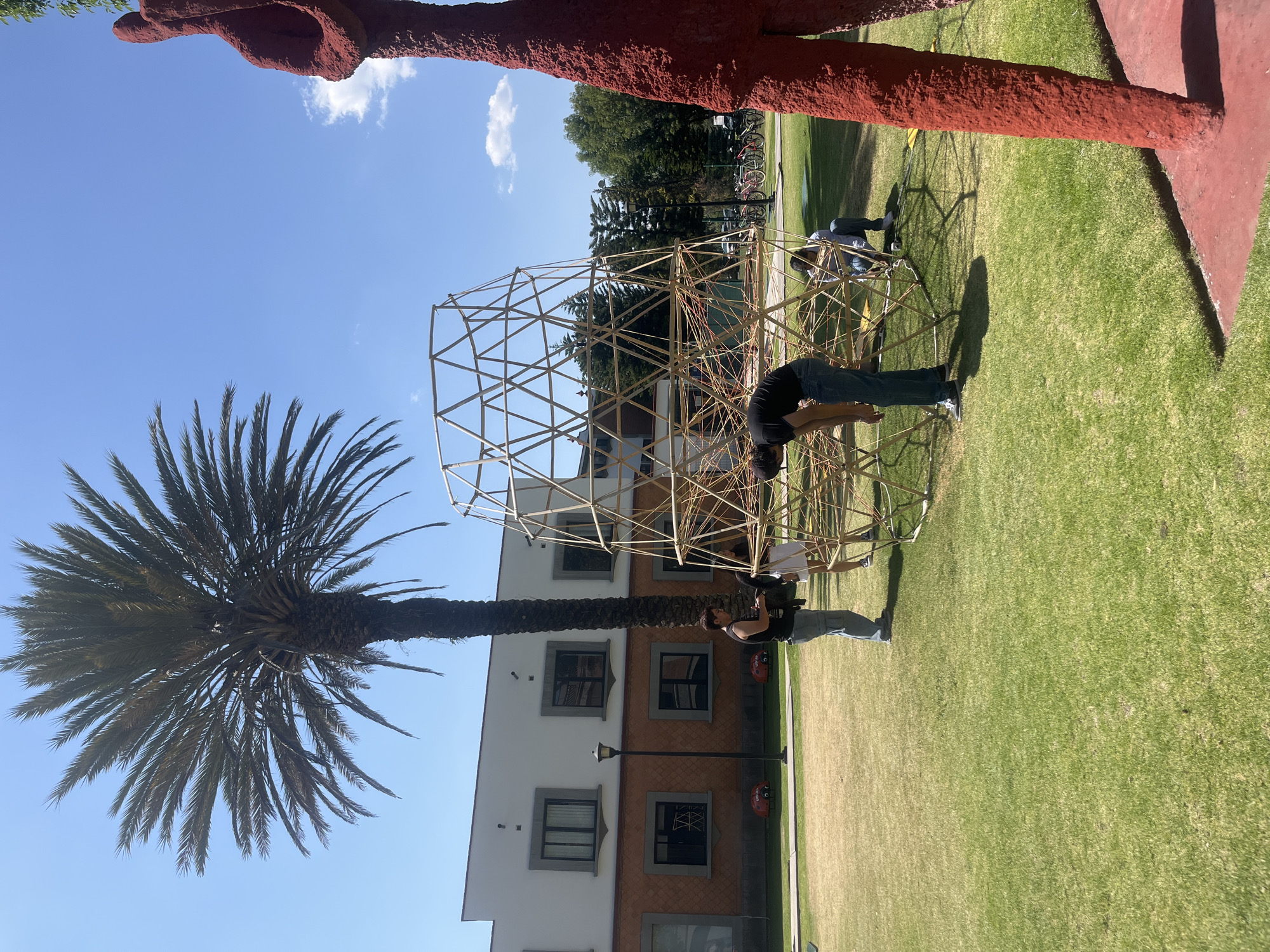 The image depicts an outdoor scene in San Andrés Cholula, Mexico, under a clear blue sky with a few scattered clouds. The time of day appears to be midday or early afternoon, given the bright sunlight and distinct shadows cast on the green lawn.
In the center, several individuals are actively engaged in assembling or working on a large, intricate geodesic dome-like structure made from light-colored wooden or bamboo sticks. One man, wearing a black t-shirt and jeans, is prominently shown bending over the framework in the foreground, while another person in a lighter shirt works further back on the same structure.
To the left, a tall palm tree with a dark, textured trunk and broad green fronds stands against the bright sky. On the right side of the frame, a large, rough-textured red sculpture with an organic shape extends into view, suggesting a public art installation. The ground is a well-maintained green grass field.
In the background, a two-story building is visible, featuring a white upper facade and a darker, possibly brick, lower section with multiple windows. A street lamp stands near the building, and further in the distance, several bicycles are parked. Small, red, car-shaped decorative objects are also scattered on the grass near the building. The scene conveys a collaborative outdoor project taking place in a sunny, pleasant environment. There is no visible text in the image.