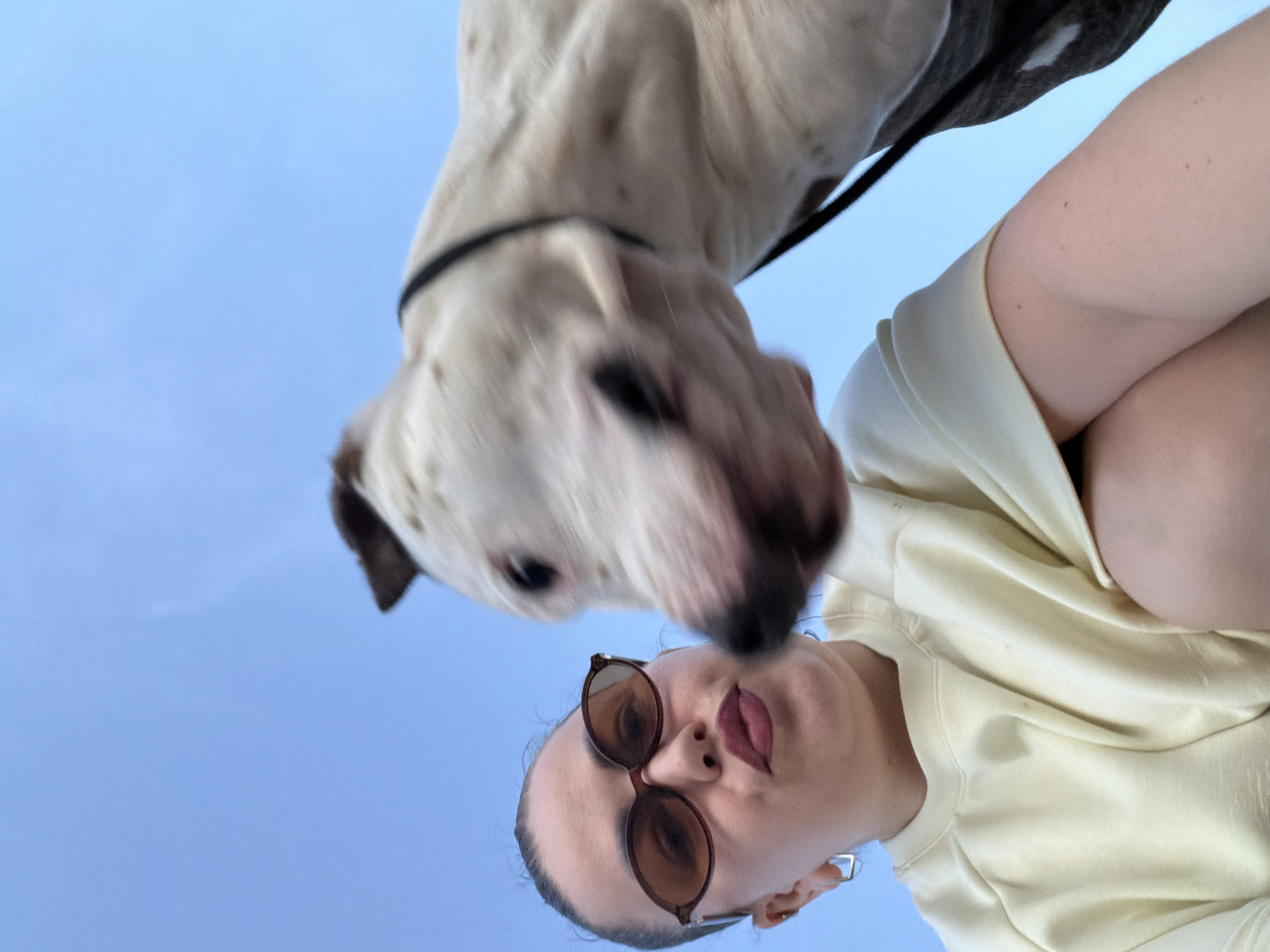 A low-angle, wide shot captures a woman wearing a pale yellow sweatshirt and sunglasses, looking down at a dog that is in the foreground, appearing slightly out of focus. The dog, a white pit bull with brown markings and a black collar, is looking up towards the woman. The sky, a clear blue, serves as the background. The scene is likely outdoors, given the clear sky. The woman's face is partially obscured by sunglasses, but her lips are painted with dark lipstick, and she has square hoop earrings. Her right arm is visible, and her left leg is also in view. The image appears to have been taken in Dederkoy, Russia, suggesting an outdoor setting.
