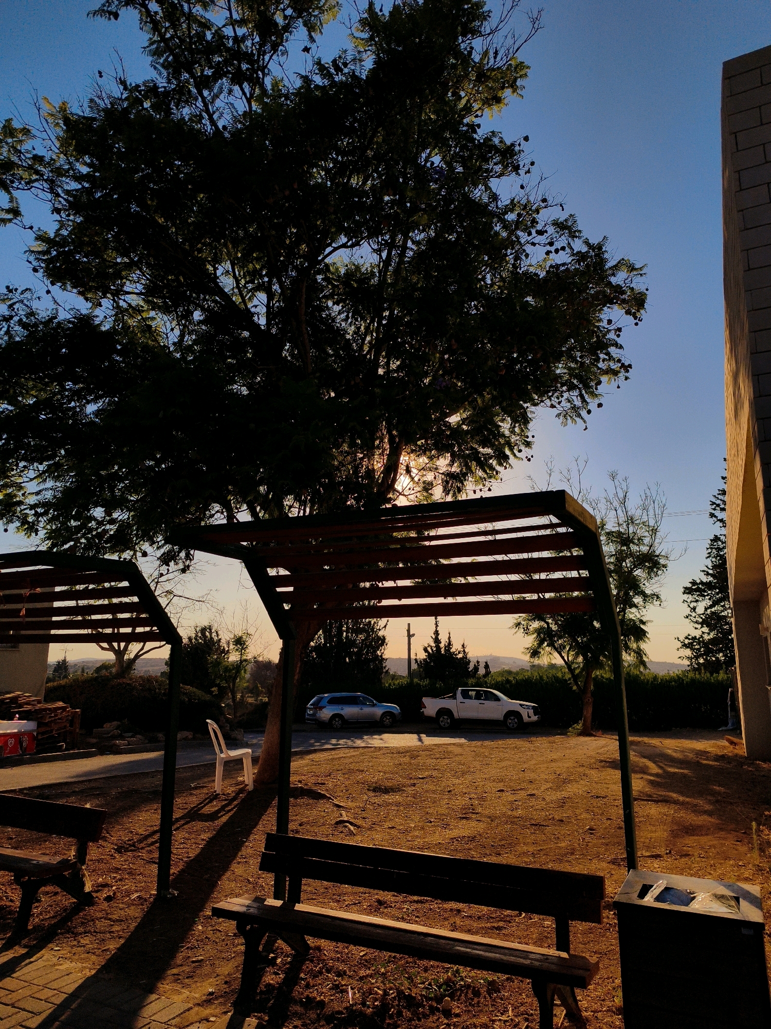 The image depicts an outdoor seating area under a wooden pergola, situated in the city of Lachish Regional Council, Israel. The scene is illuminated by the warm, low light of either sunrise or sunset, casting long shadows. In the foreground, two wooden benches face each other, suggesting a public space for rest or gathering. A white plastic chair is positioned near the center of the frame, adding to the sense of an unoccupied area.
Behind the pergola, a large, leafy tree dominates the upper left portion of the image, its branches silhouetted against the clear blue sky. The sun's rays are visible filtering through the tree's foliage, creating a dappled light effect. To the right of the tree, a tall, brick building stands partially visible, its facade rendered in a muted tone.
In the middle ground, two vehicles are parked on a paved area beyond the seating area. A silver SUV is on the left, and a white pickup truck is to its right. Beyond the vehicles, a dense line of green bushes and trees forms a natural backdrop, with rolling hills visible in the distance under the soft glow of the setting or rising sun. The ground around the seating area is covered in dry leaves and dirt, consistent with an outdoor environment. A dark-colored trash receptacle is located on the right side of the image, near one of the benches. The overall impression is one of a quiet, serene outdoor space at the edge of a residential or public area.