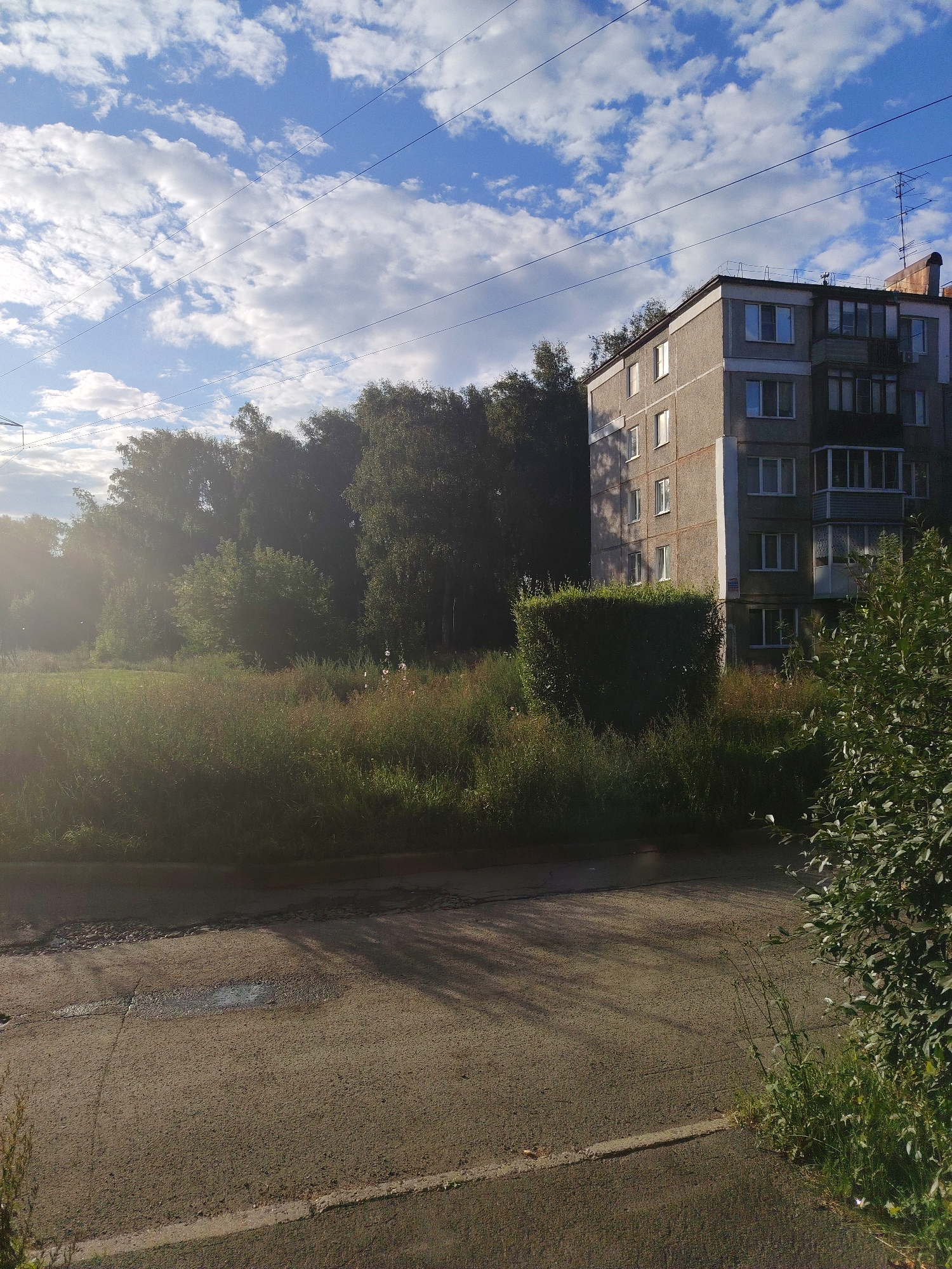 The image depicts a residential building in the city of Kemerovo, Russia, on a bright day with a partly cloudy sky. The building appears to be a multi-story apartment block, typical of Soviet-era architecture, with a gray facade and numerous windows. In front of the building, there is a large area covered in tall grass and some bushes, suggesting a natural or semi-maintained green space. A paved road or sidewalk is visible in the foreground, showing signs of wear, including a puddle of water and some cracks. Trees are present in the background, some behind the building and some in a wooded area to the left. Electrical wires are stretched across the sky, indicating the presence of infrastructure. The overall scene is an outdoor urban environment, likely in a residential district of Kemerovo, Russia. There are no people or animals visible in the image.