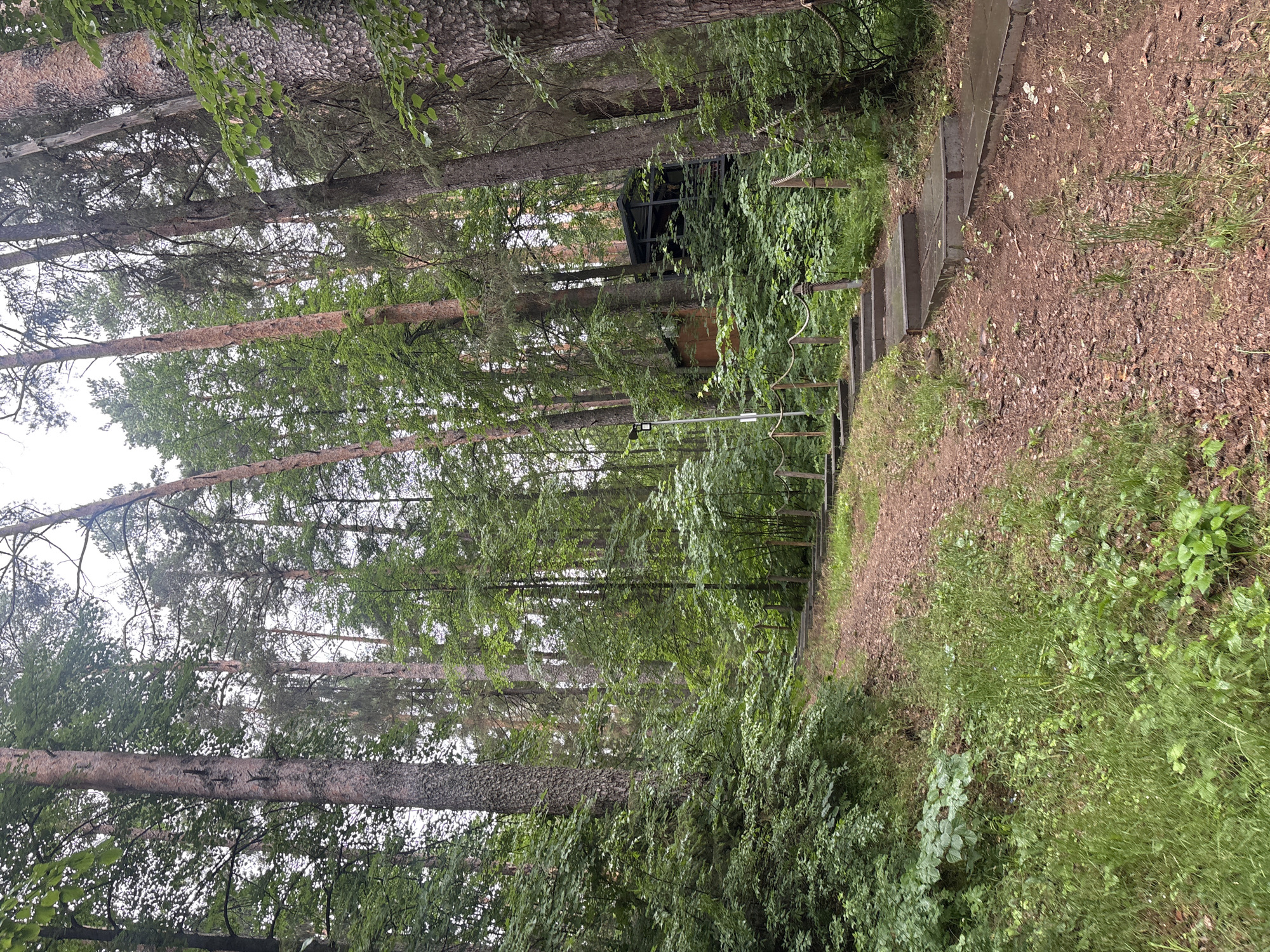 The image depicts a dirt path leading up a gentle incline through a dense forest, likely in the area of Kostovaty, Russia. Tall, slender pine trees dominate the scene, their trunks forming a canopy that filters the daylight. Lush green undergrowth, including bushes and grass, lines the sides of the path.
A set of concrete steps with wooden railings has been built into the slope, offering a more structured ascent. The steps appear slightly damp, suggesting recent rain. In the background, partially obscured by the foliage, is a rustic wooden structure, possibly a small house or cabin, with dark-colored railings and a visible roof. A single lamppost stands on the left side of the path, near the beginning of the steps. The overall atmosphere is tranquil and natural, characteristic of a forest park or trail. There are no people visible in the image.