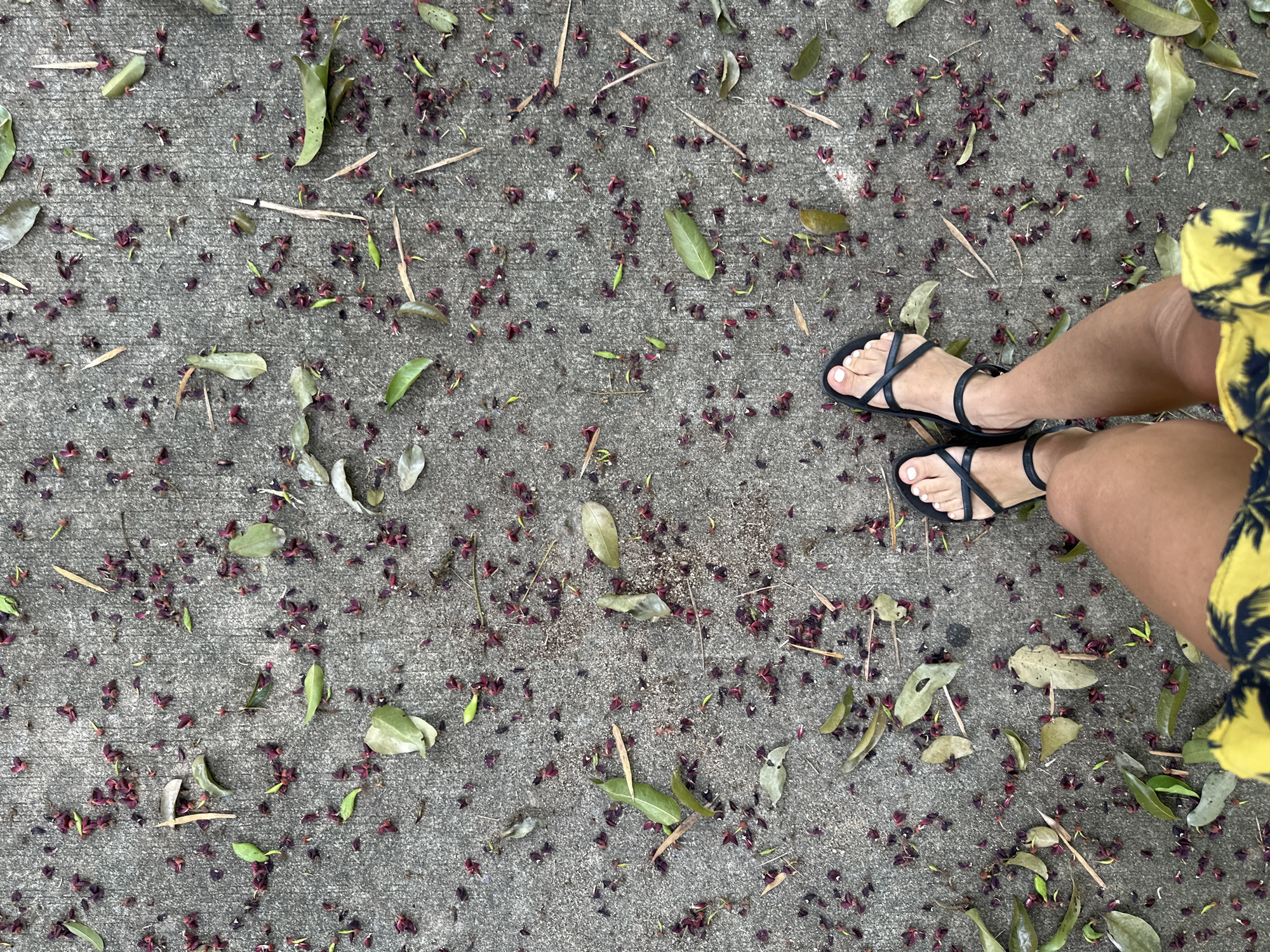 The image shows a top-down view of a person's legs and feet standing on a concrete surface. The concrete is littered with fallen leaves and small, dark red flower petals. The person is wearing black sandals and a yellow skirt with a dark pattern. The scene appears to be outdoors, likely on a sidewalk or path. The location is described as Koh Phangan, Thailand, suggesting a tropical environment. The lighting indicates it is daytime.