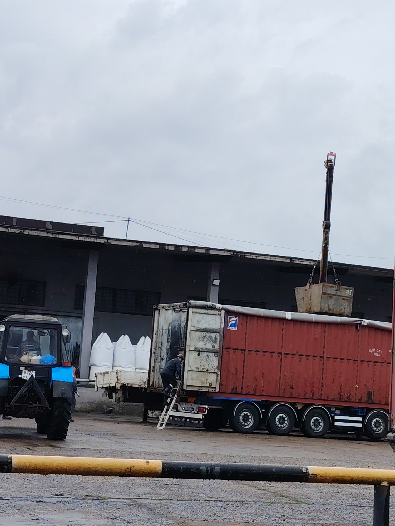 This image depicts an industrial or agricultural loading operation under an overcast, grey sky, likely in Noviy, Russia. The ground appears wet, suggesting recent rain.
In the foreground, a yellow and black barrier runs across the scene. To the left, a blue and black tractor, possibly a Belarus (MTZ) model, is parked. A license plate "8728 YA" is visible on the tractor's rear. A person is seated in the tractor's cab, and another individual wearing a blue cap is partially visible near its rear wheel. Behind the tractor, a smaller flatbed truck or trailer holds several large white bulk bags (FIBCs).
The central focus is a long, red semi-trailer truck, likely a bulk commodity trailer, with multiple axles and black wheels. A person in dark clothing is climbing or standing on a white ladder placed against the rear of the truck's container, seemingly involved in the loading process. Above the truck, a boom crane with a metal grab bucket is actively operating. The bucket has the number "5" painted on its side and appears to be either loading material into or unloading it from the trailer. A logo, possibly "ELGOS", is visible on the red trailer's side.
In the background, a dark, industrial-style building with a flat roof and several window-like openings stretches horizontally. Blue overhead wires are also visible. The scene captures a moment of active work at a facility where bulk goods are being handled.