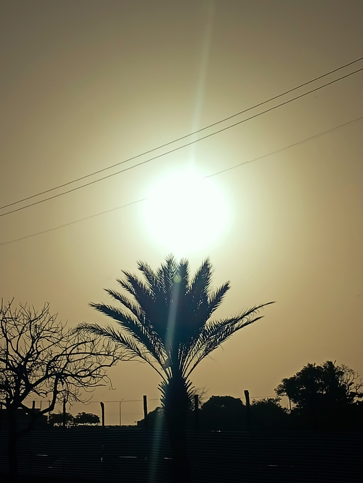 The image presents a serene, backlit landscape, likely captured during sunrise or sunset, in Juan Griego, Venezuela. A powerful, brilliant sun dominates the upper-central portion of the frame, its intense light creating a significant lens flare that vertically streaks through the scene. The sky is rendered in a warm, hazy, monochromatic beige-orange hue, suggesting atmospheric dust or mist.
In the midground, a prominent palm tree stands directly below the sun, its dense fronds forming a dark silhouette against the luminous sky. To the left, a bare, deciduous tree with intricate, twiggy branches is also silhouetted. Further in the background, additional dark masses of foliage indicate more distant trees.
Across the bottom quarter of the image, a dark, corrugated fence or low wall extends horizontally, forming a deep silhouette. Above it, faint outlines of structures or posts can be discerned. Two parallel utility lines stretch horizontally across the upper sky, passing through the sun's glare.
The entire scene is characterized by strong backlighting, which casts all foreground and midground elements into stark silhouettes, emphasizing their shapes and textures against the brilliant light source. There is no visible human activity or text. The overall impression is one of quiet contemplation, with the warm, diffused light and silhouetted forms evoking a tranquil, natural setting at the beginning or end of the day.