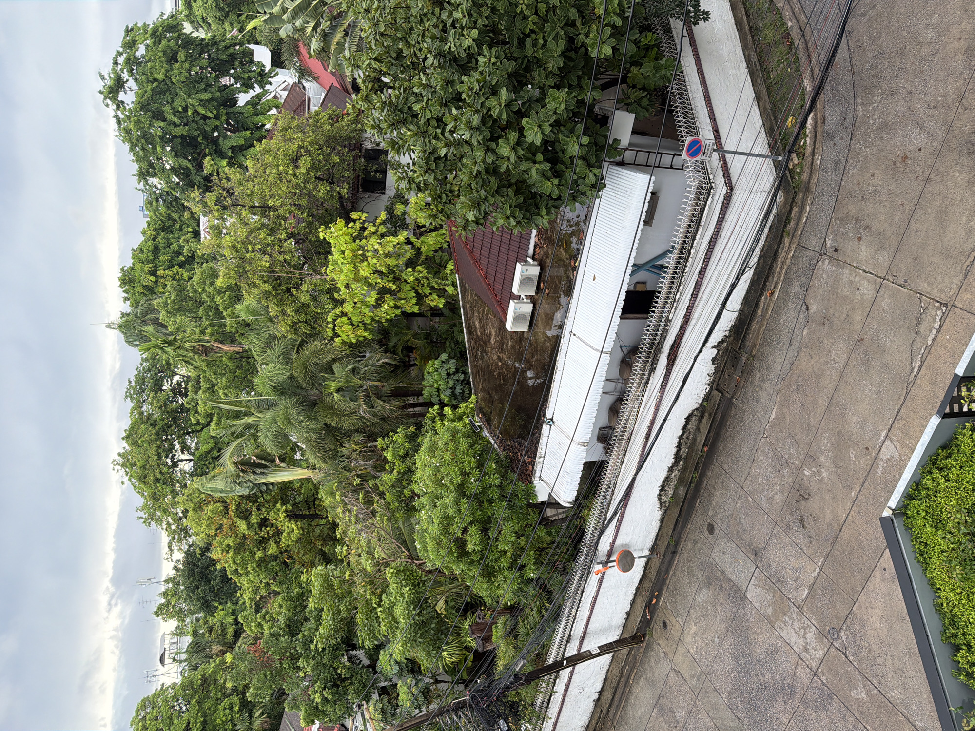 A high-angle vertical shot captures a residential neighborhood in Bangkok, Thailand, under an overcast sky. The scene is largely dominated by a dense canopy of varied tropical trees and foliage, with multiple shades of green.
Scattered within and beneath the tree cover are several residential buildings, some featuring red-tiled roofs and others with white corrugated metal roofs. Two white air conditioning units are visible on one of the flat rooftops, which appears damp. A white-painted building with a corrugated awning and an exterior ladder is also present. In the distance, through breaks in the trees, communication towers and other urban structures can be seen against the cloudy sky.
In the mid-ground, a prominent dark utility pole on the left is heavily laden with a complex, tangled network of black electrical and communication cables. This pole stands beside a long, white painted brick wall topped with a decorative, spiky white metal fence. The lower section of the wall shows signs of grime and mildew.
Attached to this wall is an orange-rimmed circular convex traffic mirror. Further along the wall, near a corner, a blue and red "No Parking" sign is affixed, with text in both English ("NO PARKING IN THIS AREA") and Thai ("ตลอดแนว" - "along this line").
The foreground consists of a grey, worn concrete or tiled pavement, displaying various cracks and expansion joints. It forms a gentle curve at a corner, leading into what appears to be a street or alleyway. Drainage grates are visible near the base of the wall. In the immediate bottom-left foreground, a planter box with vibrant green shrubbery is partially visible, indicating an elevated viewing position, possibly from a balcony.
No individuals or animals are visible in the image.