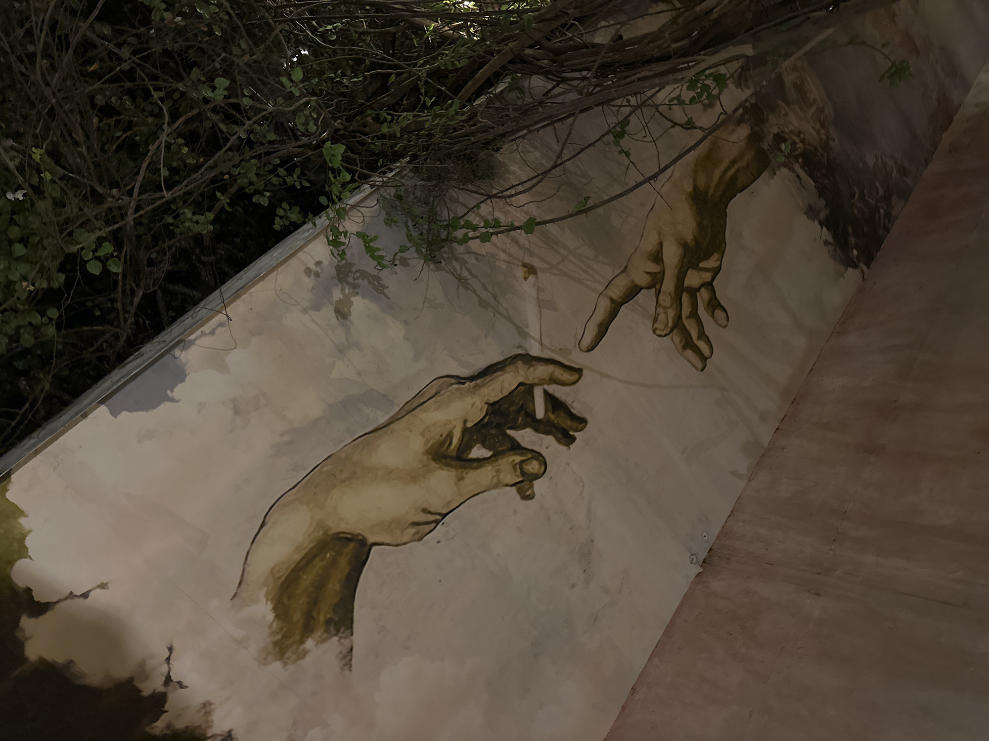 The image displays a mural depicting two hands reaching towards each other, a direct reference to Michelangelo's "The Creation of Adam," set against a backdrop of dense, dark foliage. The mural occupies a significant portion of a wall or sloped surface, with the hands rendered in warm, earthy tones against a lighter, cloud-like background. The hand on the lower left extends upwards with fingers gently curved, while the hand from the upper right reaches down, its index finger nearly touching the other.
Overlapping the mural from the top and right side is a thick network of tree branches, many bare, intertwined with some sparse green leaves. These branches cast intricate shadows onto the painted surface, creating a dynamic interplay between the natural elements and the classical artwork. The scene is photographed at night or in very low light conditions, with artificial illumination likely highlighting the mural and causing the foliage to appear silhouetted or dimly lit. The overall ambiance is one of mystery and serene contemplation, blending art with nature. The perspective suggests looking upwards at the artwork, possibly located on an outdoor wall, underpass, or a ceiling-like structure. There is no visible text in the media file.