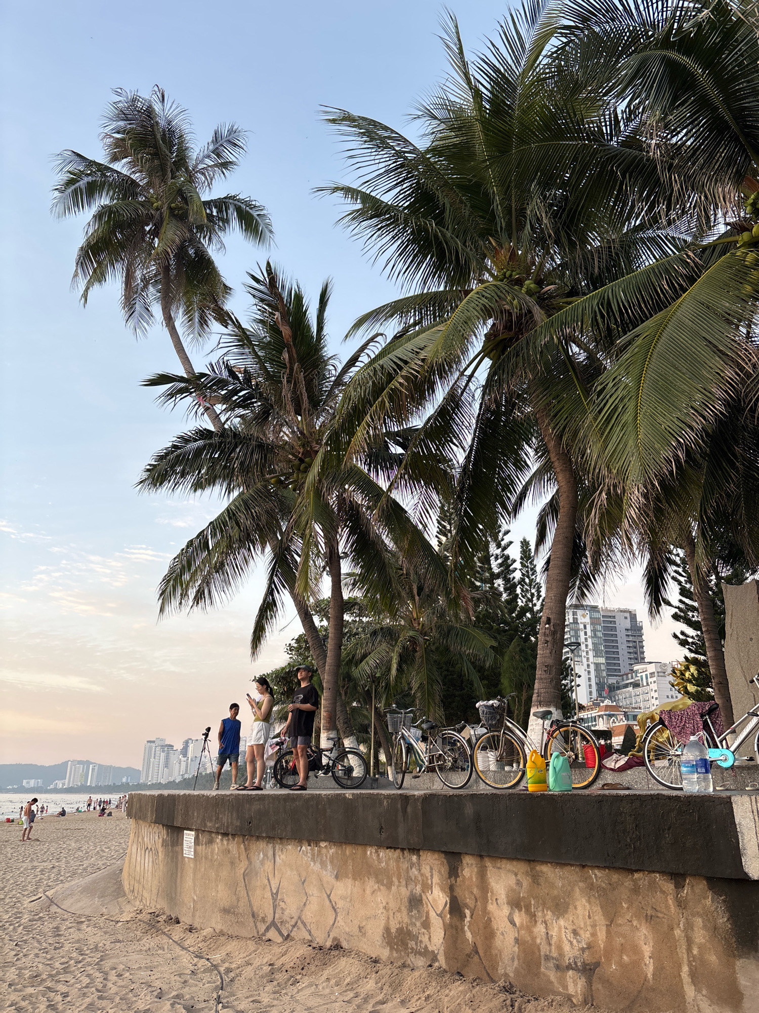A group of people stand on a concrete promenade overlooking a sandy beach in Nha Trang, Vietnam. Several palm trees line the promenade, some bearing coconuts. In the background, apartment buildings and other structures rise against a pale sky, suggesting an urban coastal environment. A man in a blue shirt is setting up a tripod for what appears to be a camera or video recorder. Nearby, a couple, a woman in a yellow top and white shorts, and a man in a black shirt and shorts, are looking at their phones. Parked along the promenade are several bicycles, some with baskets, and other assorted items including bottles of liquid and clothing. The beach itself is populated with a few individuals. The overall scene depicts a relaxed, sunny day by the sea.