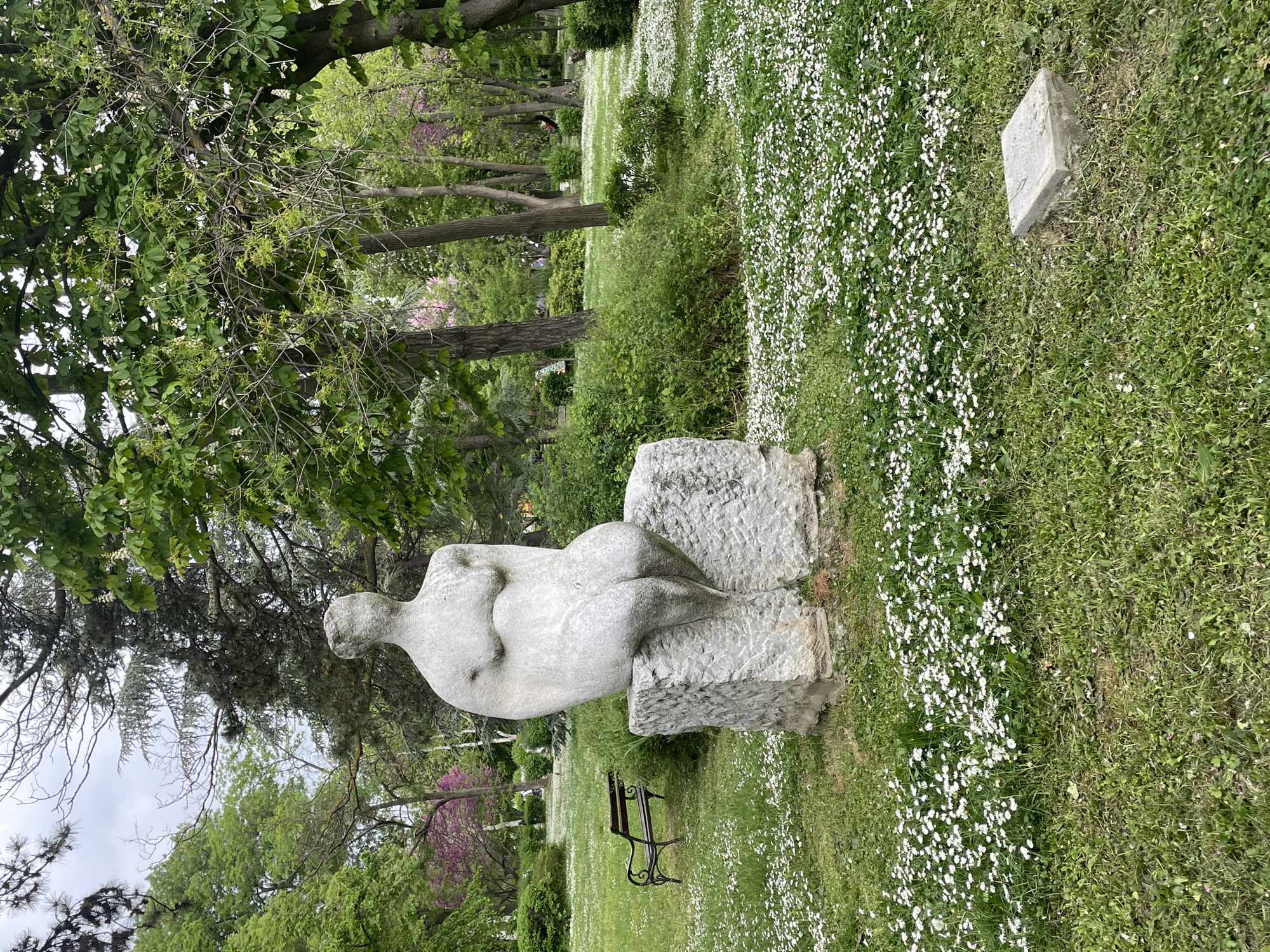 Captured outdoors in a park setting in Burgas, Bulgaria, the image showcases a stone sculpture of a reclining figure atop a stone pedestal. The sculpture is the primary subject. The surrounding environment includes a lawn covered in small white flowers, various trees, and a park bench visible in the background. A small stone block sits nearby. The image conveys a peaceful park scene with an artistic focal point.