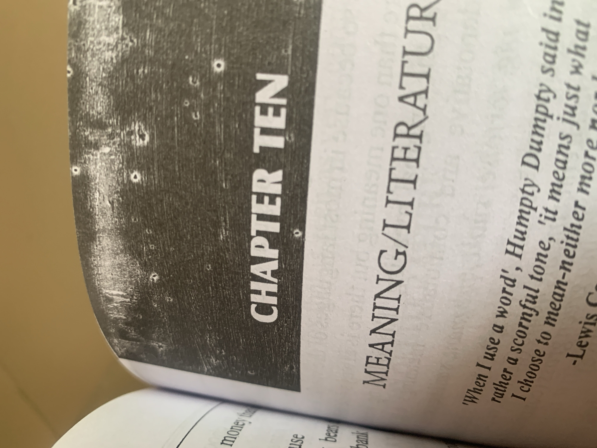The image shows an open book with the text "CHAPTER TEN" prominently displayed in large, bold, white letters on a dark, textured background. Below this, in smaller, black serif font, is the heading "MEANING/LITERATURE". Further down, a quote is visible: "'When I use a word', Humpty Dumpty said in rather a scornful tone, 'it means just what I choose to mean--neither more nor--Lewis C". The book is partially illuminated, with a warm-toned light source from the upper left. The background appears to be a blurry, neutral surface, likely a table or shelf. There are no people or animals visible in the image, and no indication of the location being in Jauro Yinu, Nigeria. The scene depicts a close-up of a book's text.