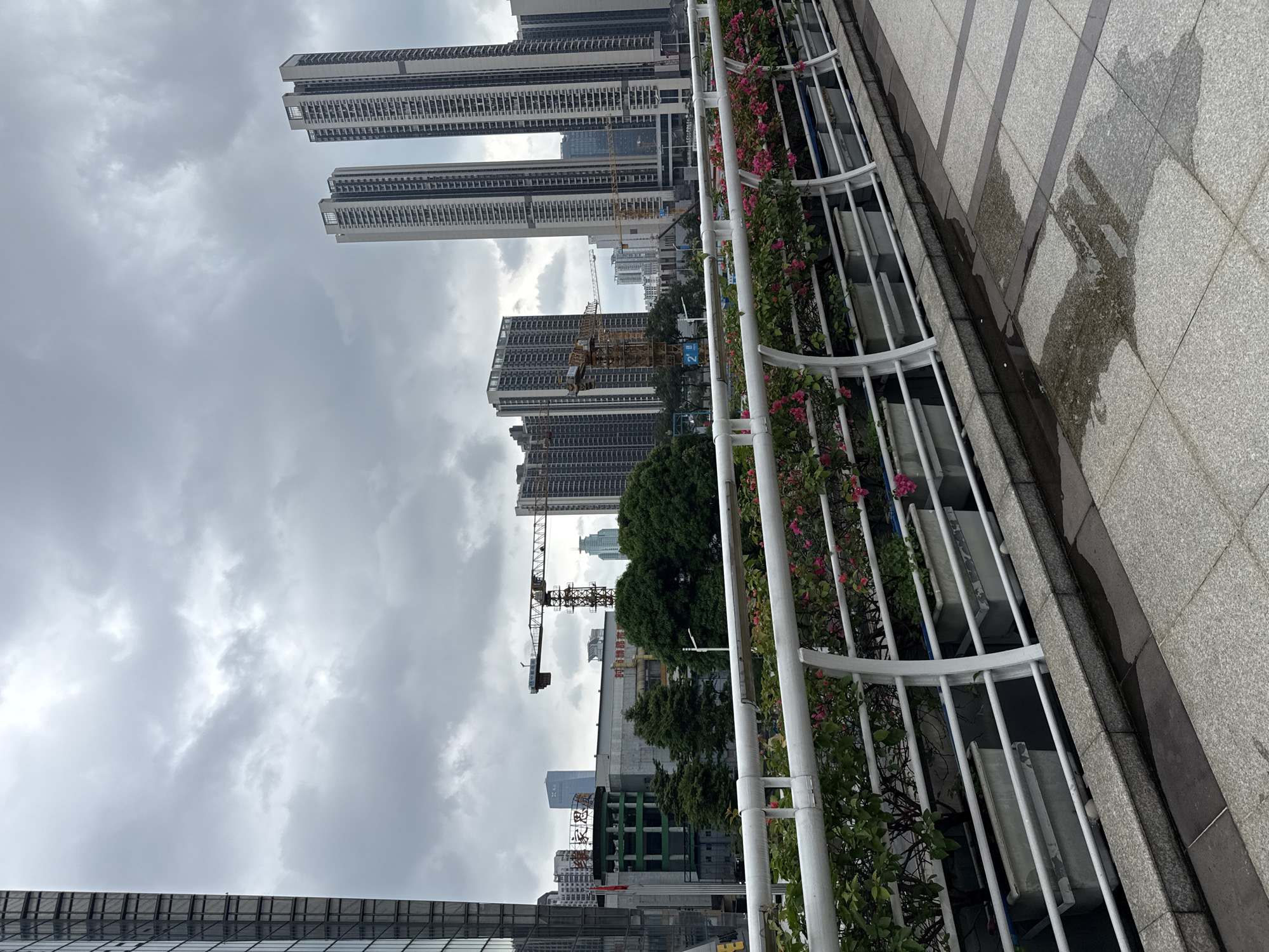 The image depicts a city scene in Tianhe District, China, characterized by modern architecture and urban infrastructure. In the foreground, a walkway with a gray tiled surface, wet in patches, leads the eye towards a white railing. Beyond the railing, planters filled with green foliage and small pink flowers line the elevated walkway. In the middle ground, several tall, slender residential buildings rise against a cloudy, overcast sky. A large construction crane, a common sight in developing urban areas, is visible amidst the buildings, suggesting ongoing development. Other buildings, varying in height and architectural style, are scattered throughout the urban landscape. The overall impression is one of a bustling, modern city undergoing continuous construction and expansion.