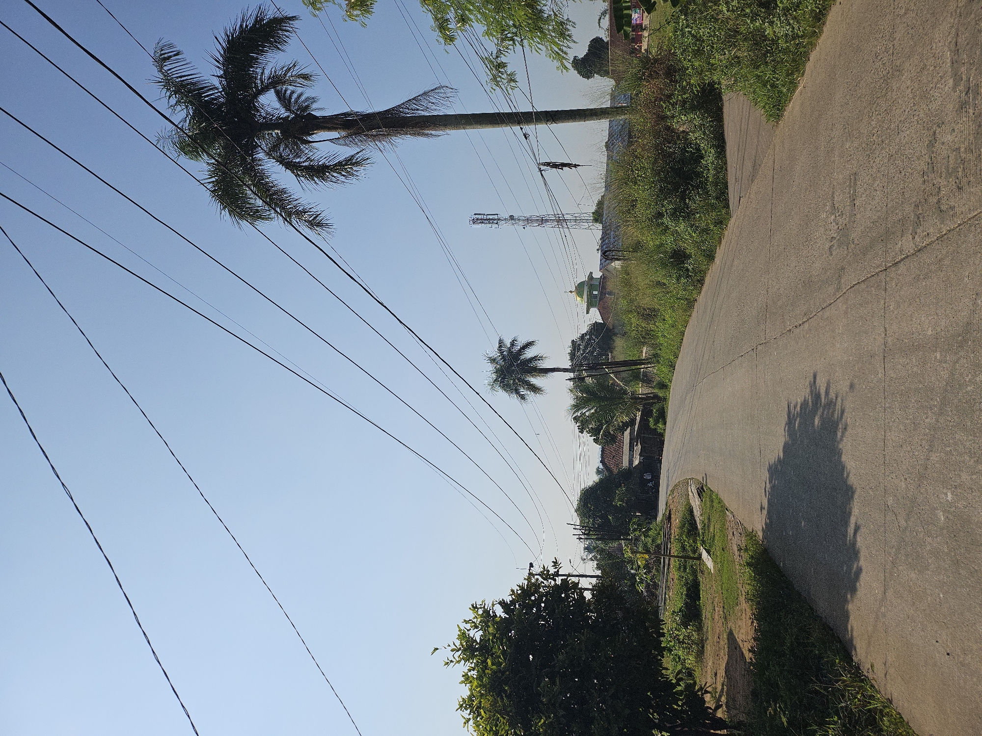 The image depicts a rural road curving to the left, with a clear blue sky overhead. Several power lines crisscross the frame from left to right. On the left side of the road, there is a large, leafy green tree. Further down the road, on the right, a tall palm tree stands prominently. In the distance, behind a line of green vegetation, a building with a green dome is visible, along with a tall telecommunications tower. A few smaller buildings and structures are also present, suggesting a small settlement or village. The road itself is paved with concrete and shows some signs of wear. The overall environment appears to be a tranquil, sunny day in a semi-urban or rural setting, possibly the outskirts of Jasinga, Indonesia, given the presence of palm trees and the architectural style of the building with the dome, which resembles a mosque.