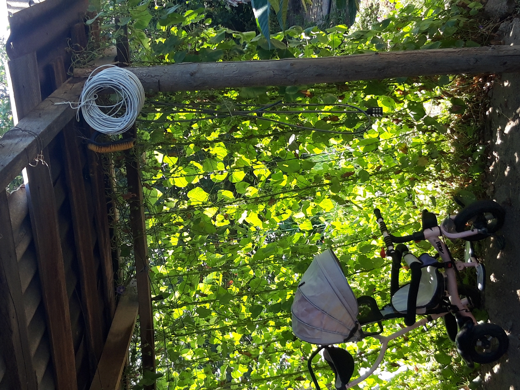 A pink children's tricycle with a canopy is parked on a dirt surface in front of a dense wall of green foliage. The tricycle has a white seat with black trim and appears to be designed for a young child. Above and behind the foliage, a wooden structure with a corrugated roof is visible, supported by a wooden beam. A coil of wire is hanging from a beam of the wooden structure. The scene is outdoors, illuminated by natural sunlight, casting shadows on the ground. The foliage suggests a garden or overgrown area, possibly in a rural setting given the mention of Макаров ауылдық округі, Kazakhstan.