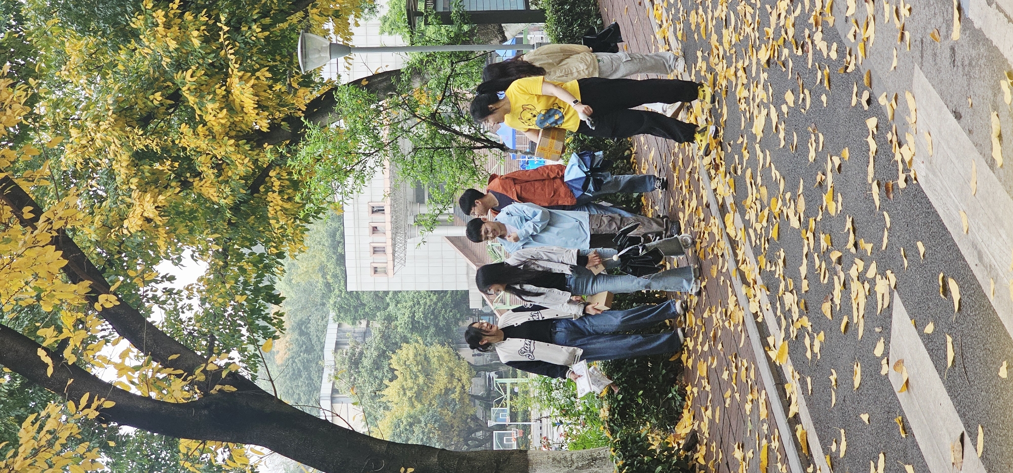 A medium-distance shot depicts a group of six individuals walking in a line on a street or sidewalk covered with fallen yellow leaves. The setting appears to be outdoors in the Yuzhong District, China, suggested by the architecture and greenery. The people vary in appearance and attire, including jeans, jackets, and sweaters. The street is adorned with a crosswalk. A large tree with partially yellow foliage dominates the left side of the image. Buildings are visible in the background.