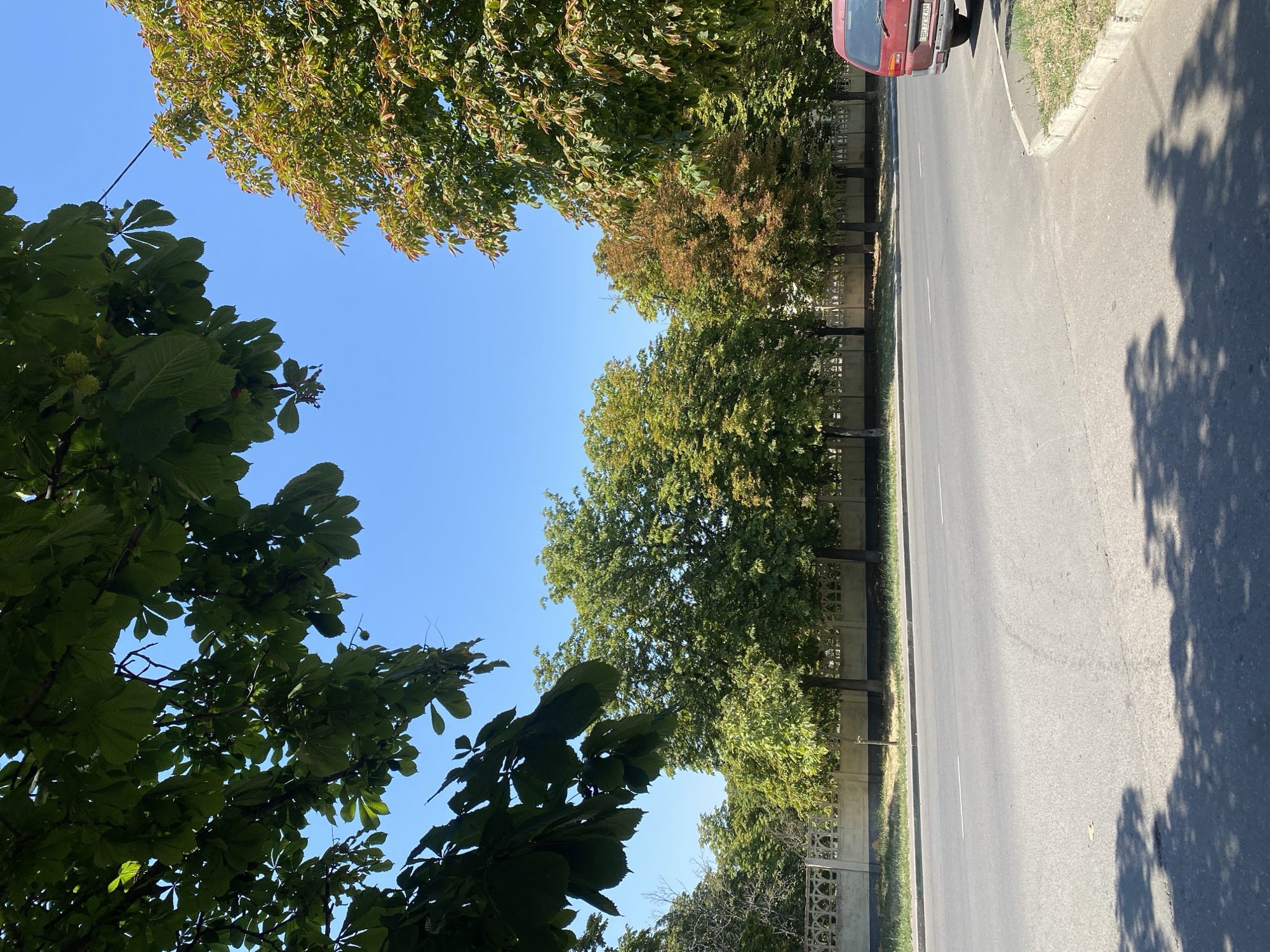 The image depicts a street scene in Chornomorsk, Ukraine, on a clear, sunny day. In the foreground, a paved road with a white line marking the lane is visible, casting shadows from overhead trees. To the right, the rear of a red minivan with a license plate "BH 1212 AM" is parked on the side of the road. Beyond the road, a low, decorative concrete fence runs along the edge of a property, behind which a line of trees stands. Some of the trees have green foliage, while one in the middle shows a mix of green and orange leaves, suggesting the transition into autumn. The sky is a vibrant blue. The left side of the image is dominated by the dark green leaves of a large tree, casting significant shadows on the road.