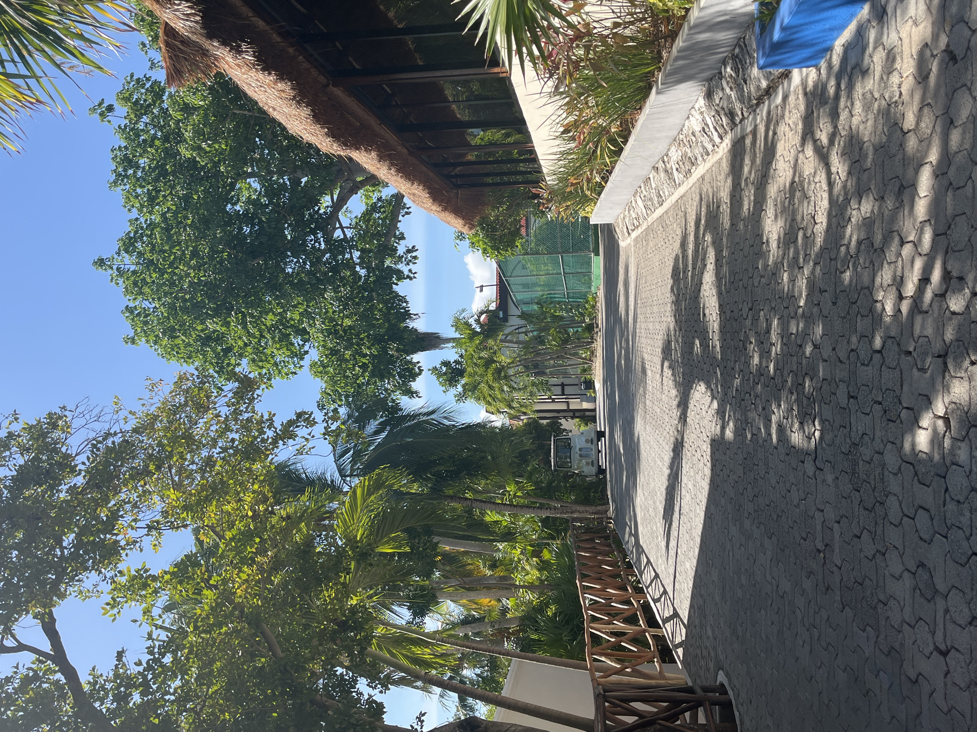 This image depicts a sunny outdoor pathway, likely within a tropical resort or natural area, consistent with the context of Playa del Carmen, Mexico. The scene is devoid of people.
The main subject is a paved walkway made of grey, hexagonal interlocking pavers, stretching from the foreground into the distance. Bright sunlight casts intricate shadows of tree leaves and branches across the path. To the left of the path, a low wall or planter box with a smooth concrete cap and a textured, possibly stone, base is lined with vibrant green plants and shrubs. Further down, a rustic wooden fence or railing runs parallel to the path.
The left side of the image is characterized by lush tropical vegetation. Large, leafy trees with dense canopies dominate the upper left, while numerous palm trees are scattered throughout, particularly along the path. The sky above is a clear, vivid blue, indicative of a bright, sunny day with minimal cloud cover.
Architectural elements are visible among the greenery. In the upper left, a building with a traditional thatched roof (palapa style) is partly seen, with reflections in its windows suggesting a modern structure. Further down the path, a white building and a light-colored utility vehicle, resembling a golf cart, are partially obscured by palm trees. A green netted structure, possibly part of a sports court, is visible in the mid-ground. A bright blue object, possibly a tarp or fabric, is partially visible in the upper right corner of the frame.
The strong, distinct shadows suggest the time of day is likely midday or early afternoon. No visible text is present in the image. The overall impression is one of a tranquil and pleasant tropical setting.